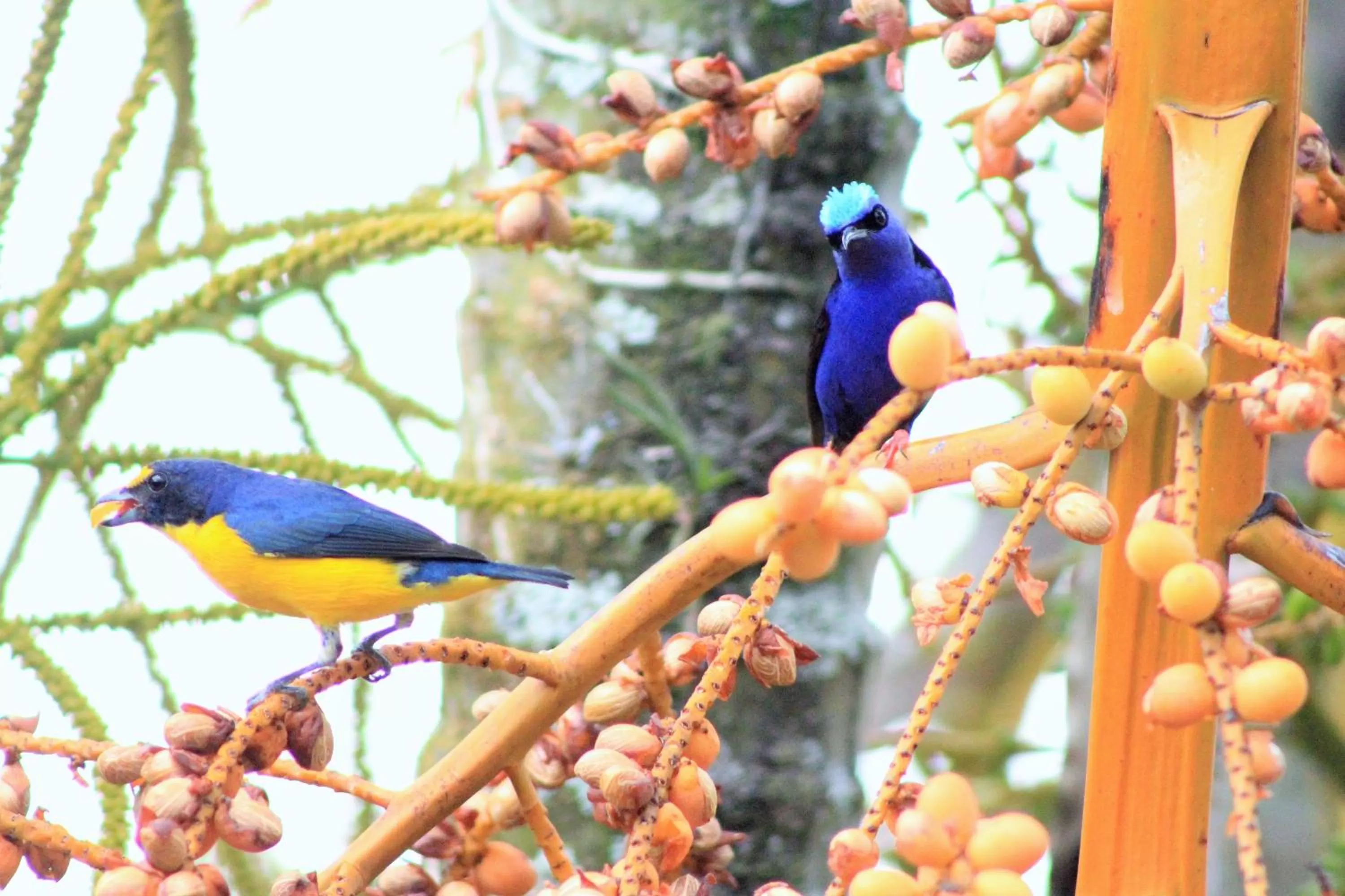 Area and facilities in Hotel Monte Real