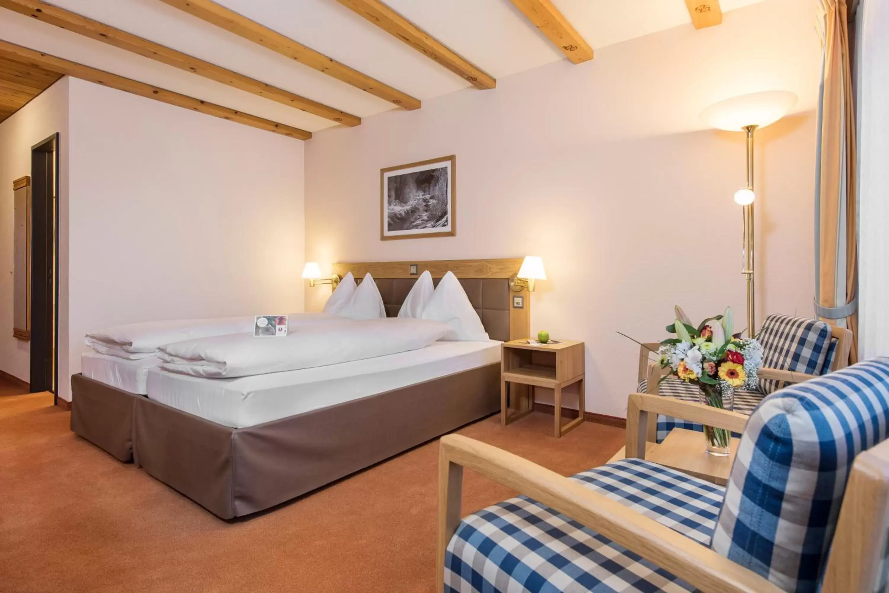 Economy Double Room in Sunstar Hotel & SPA Davos