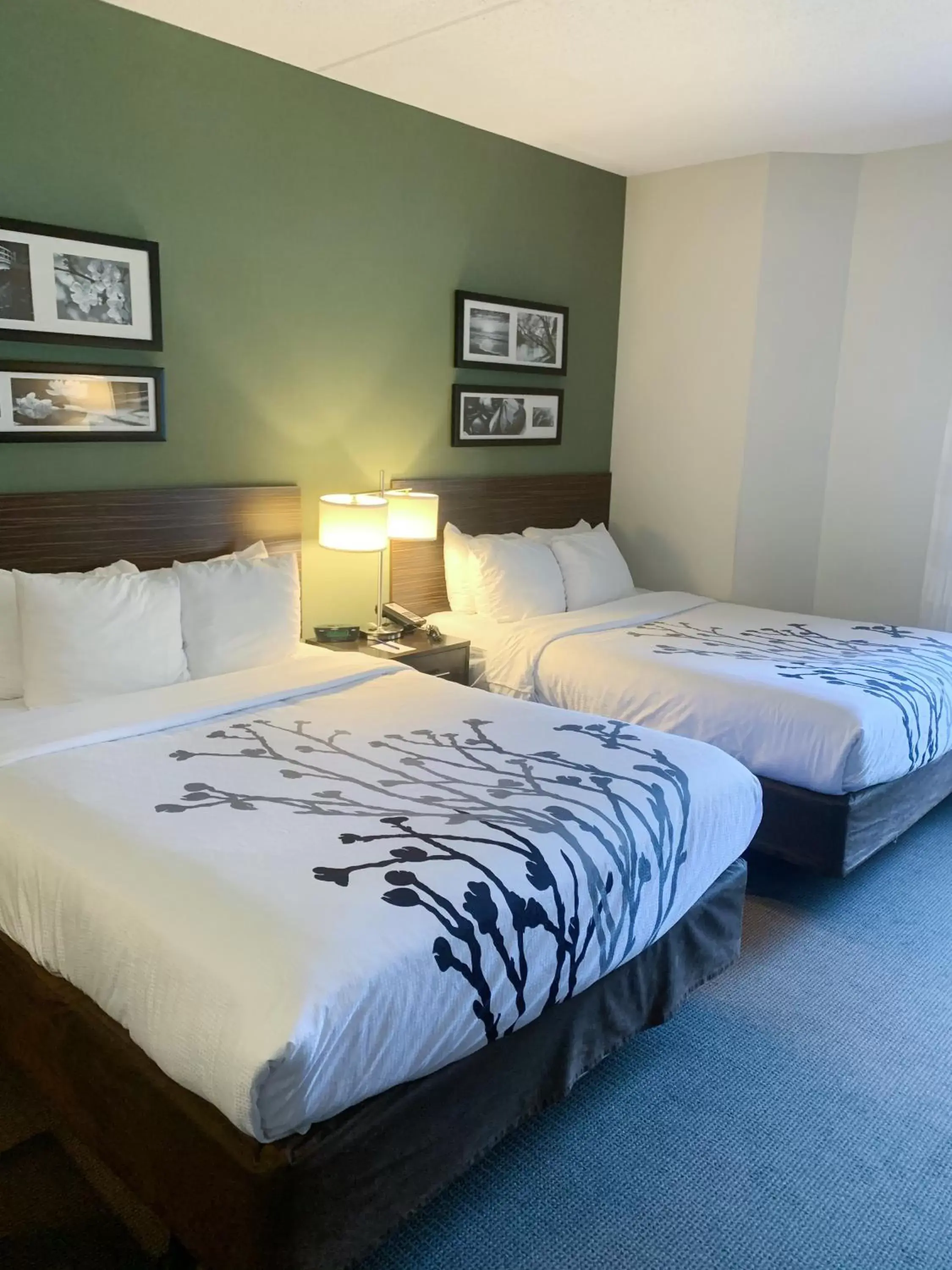 Bedroom, Bed in Sleep Inn & Suites Queensbury - Lake George
