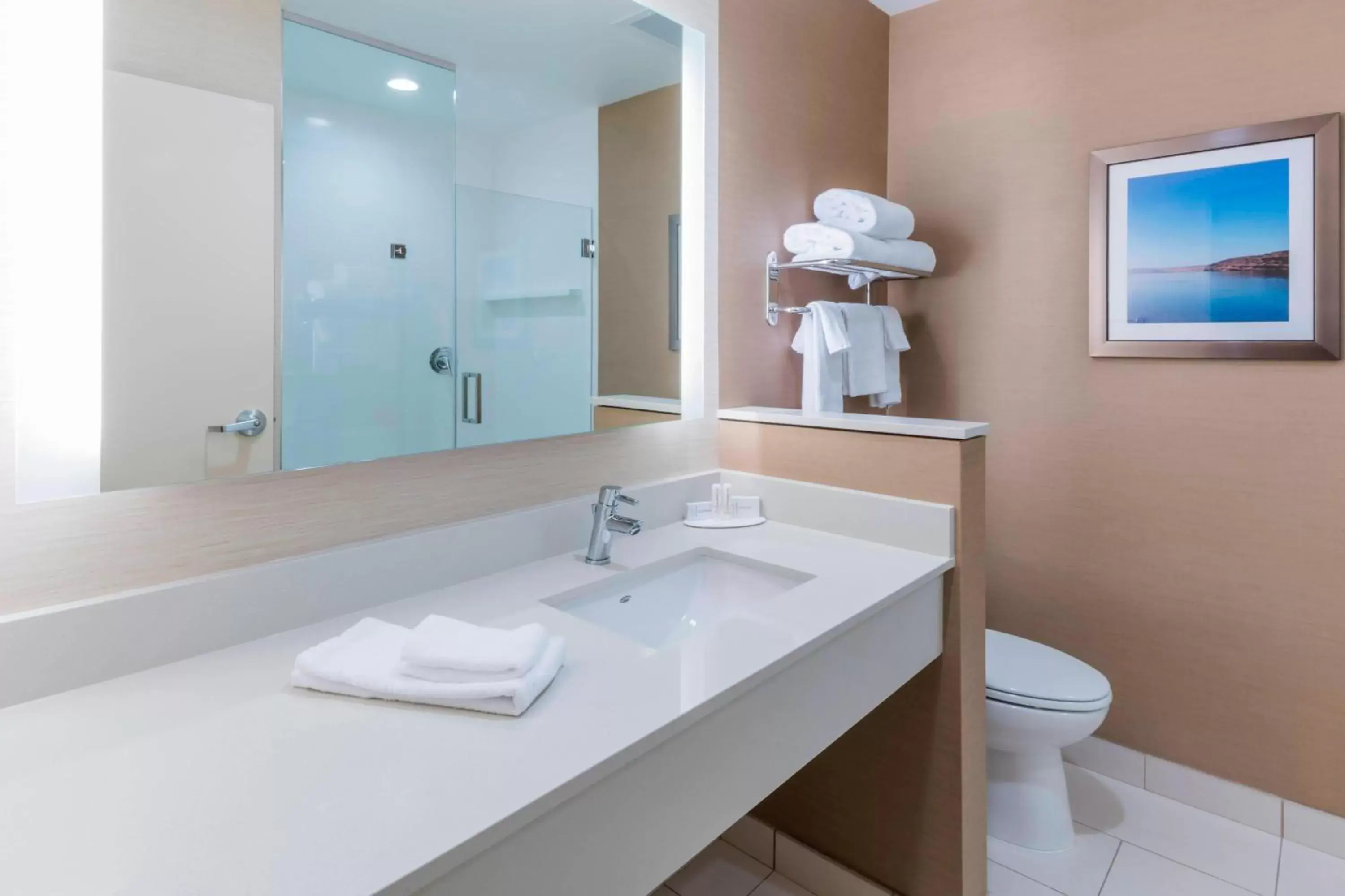 Bathroom in Fairfield Inn & Suites by Marriott Moses Lake