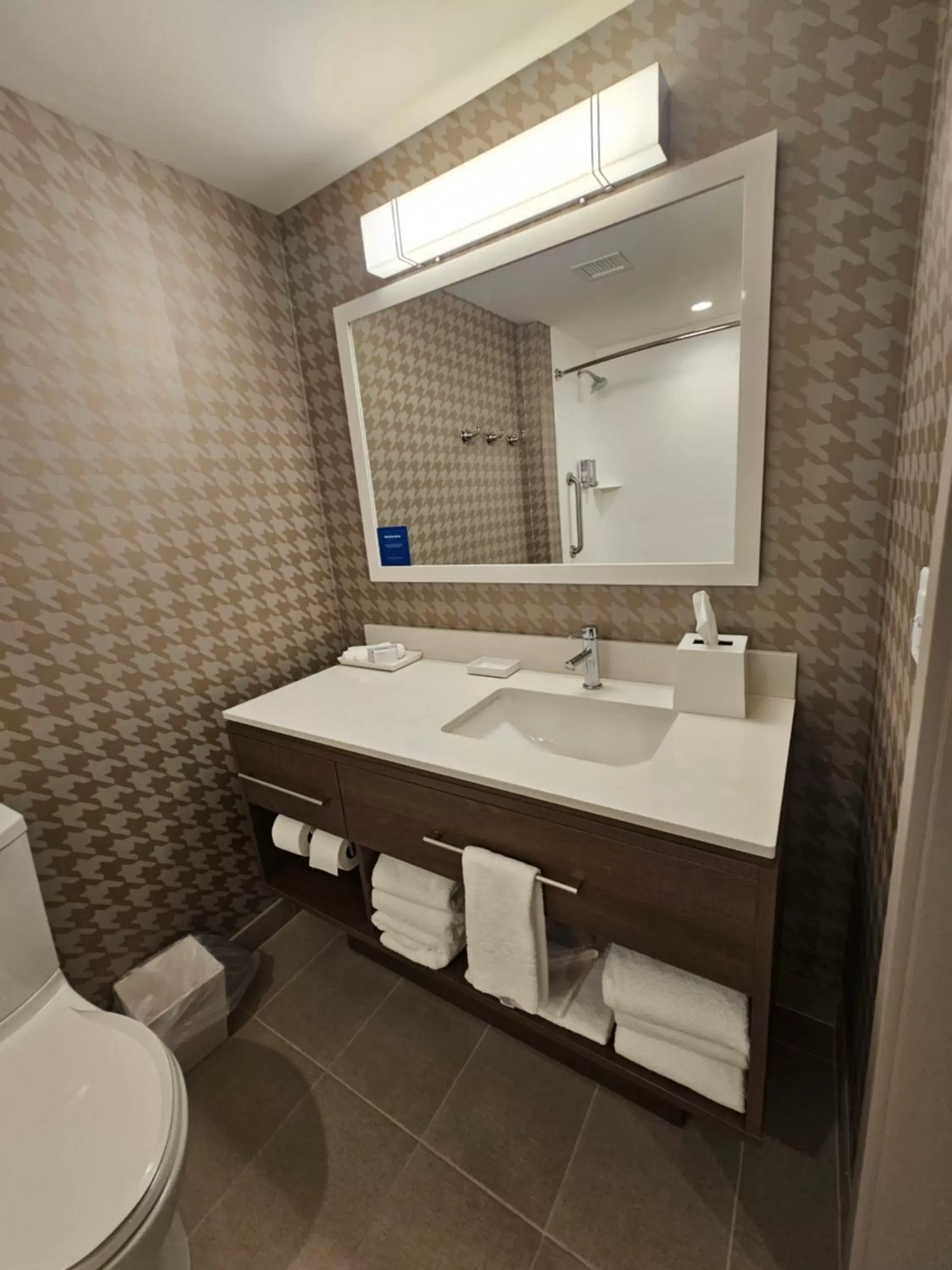 Toilet, Bathroom in Home2 Suites By Hilton Allentown Bethlehem Airport