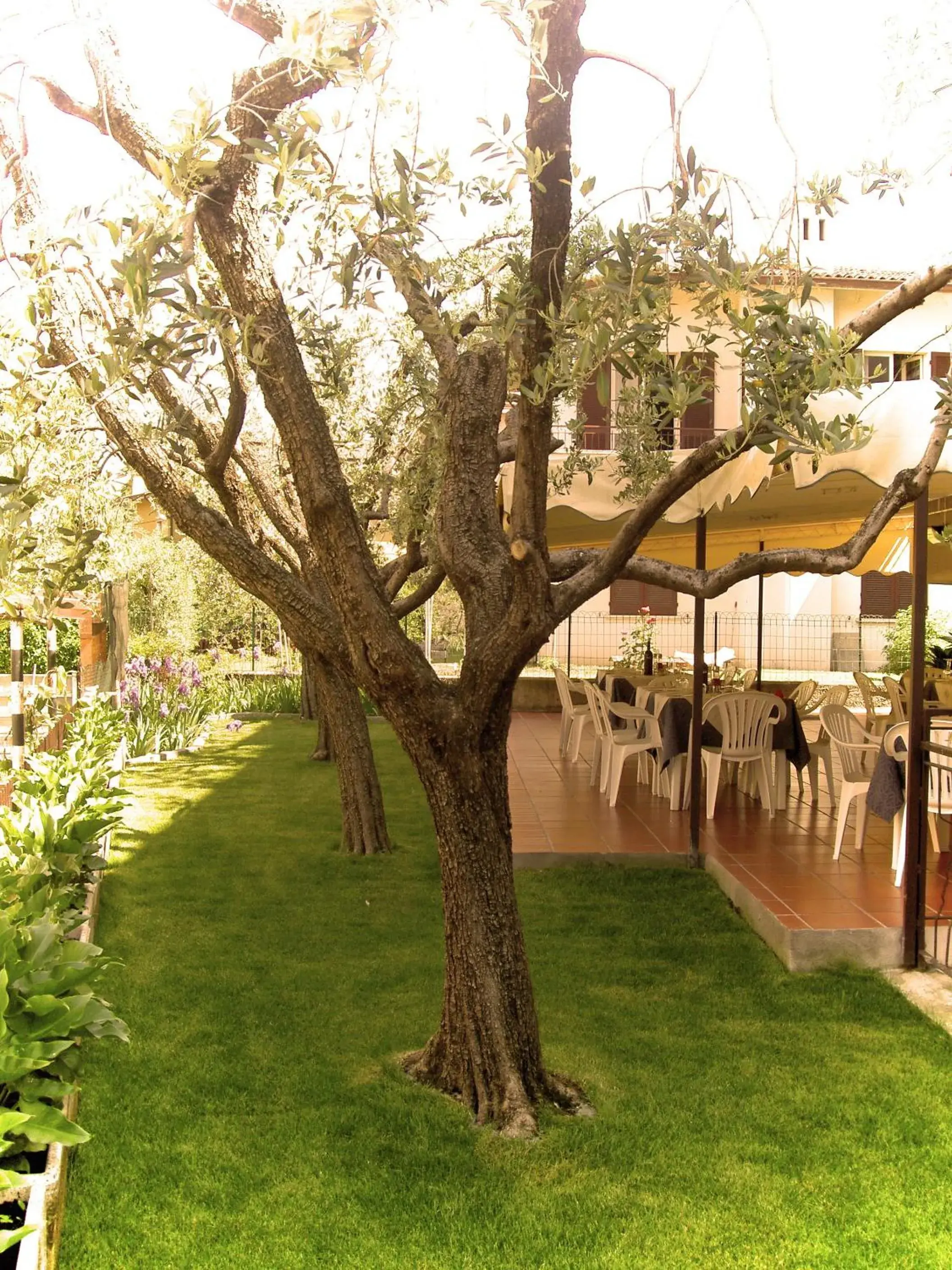 Garden in Hotel Azzurra