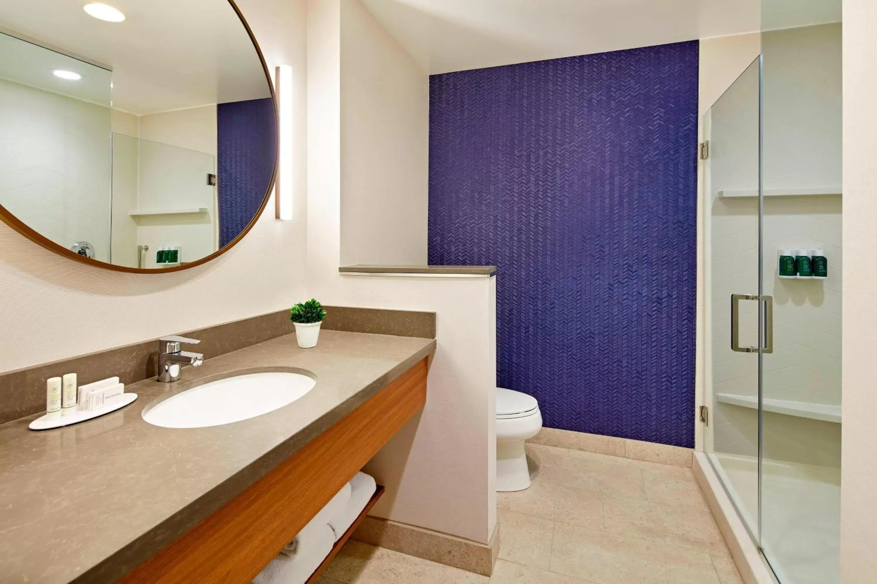 Bathroom in Fairfield by Marriott Inn & Suites Indio Coachella Valley