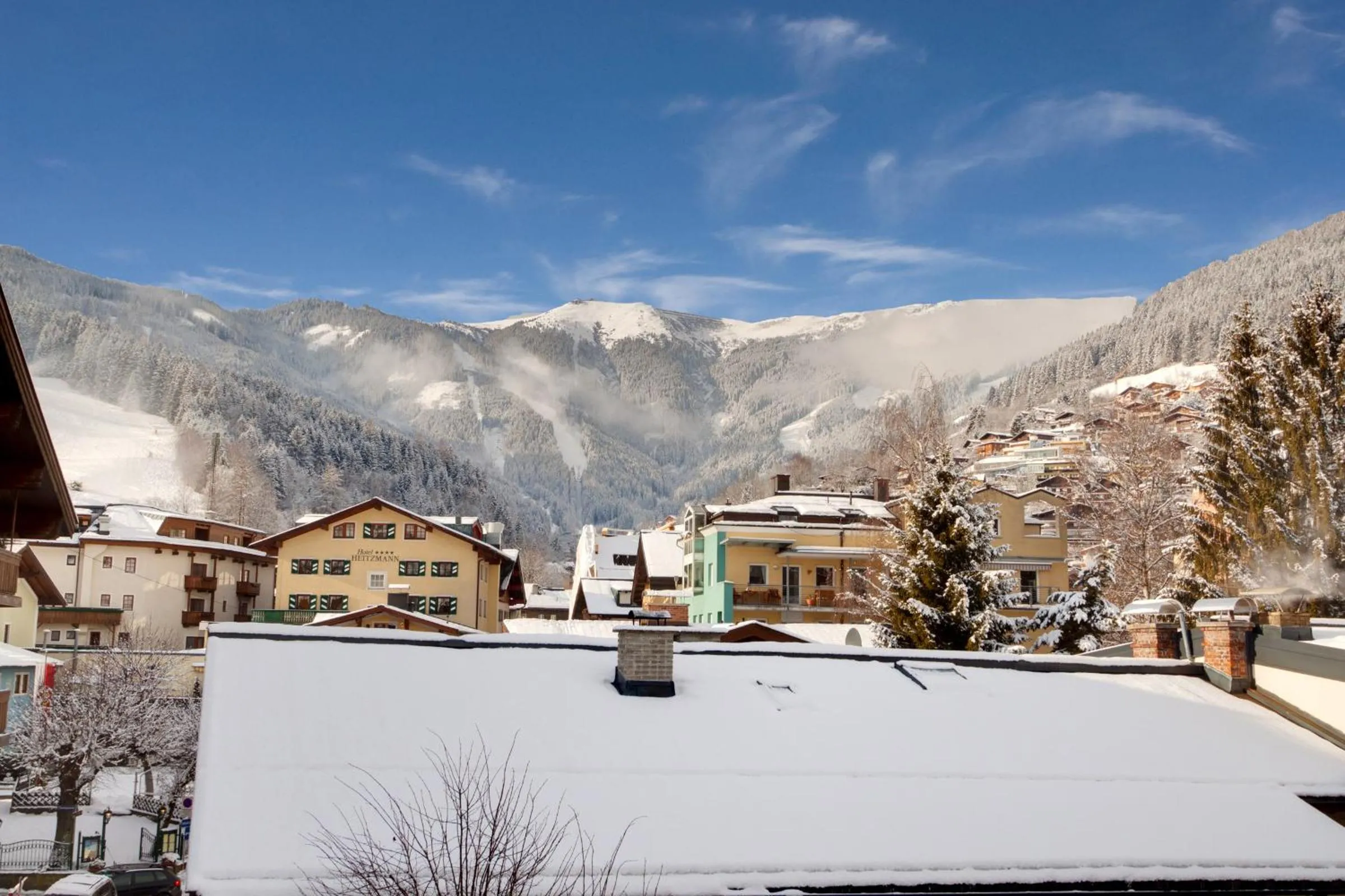 Area and facilities in Hotel Grüner Baum