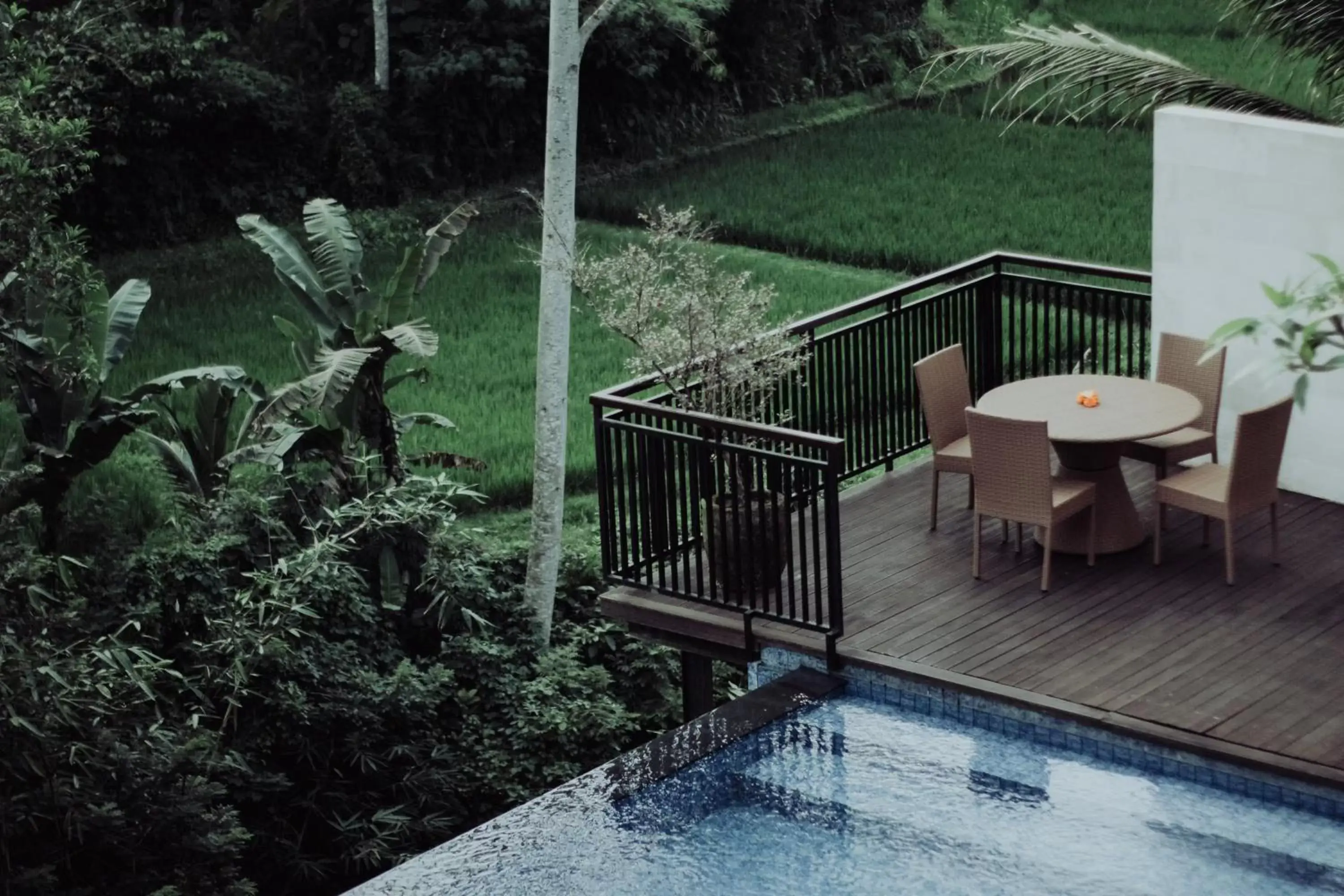 View (from property/room), Swimming Pool in River Sakti Ubud by Prasi