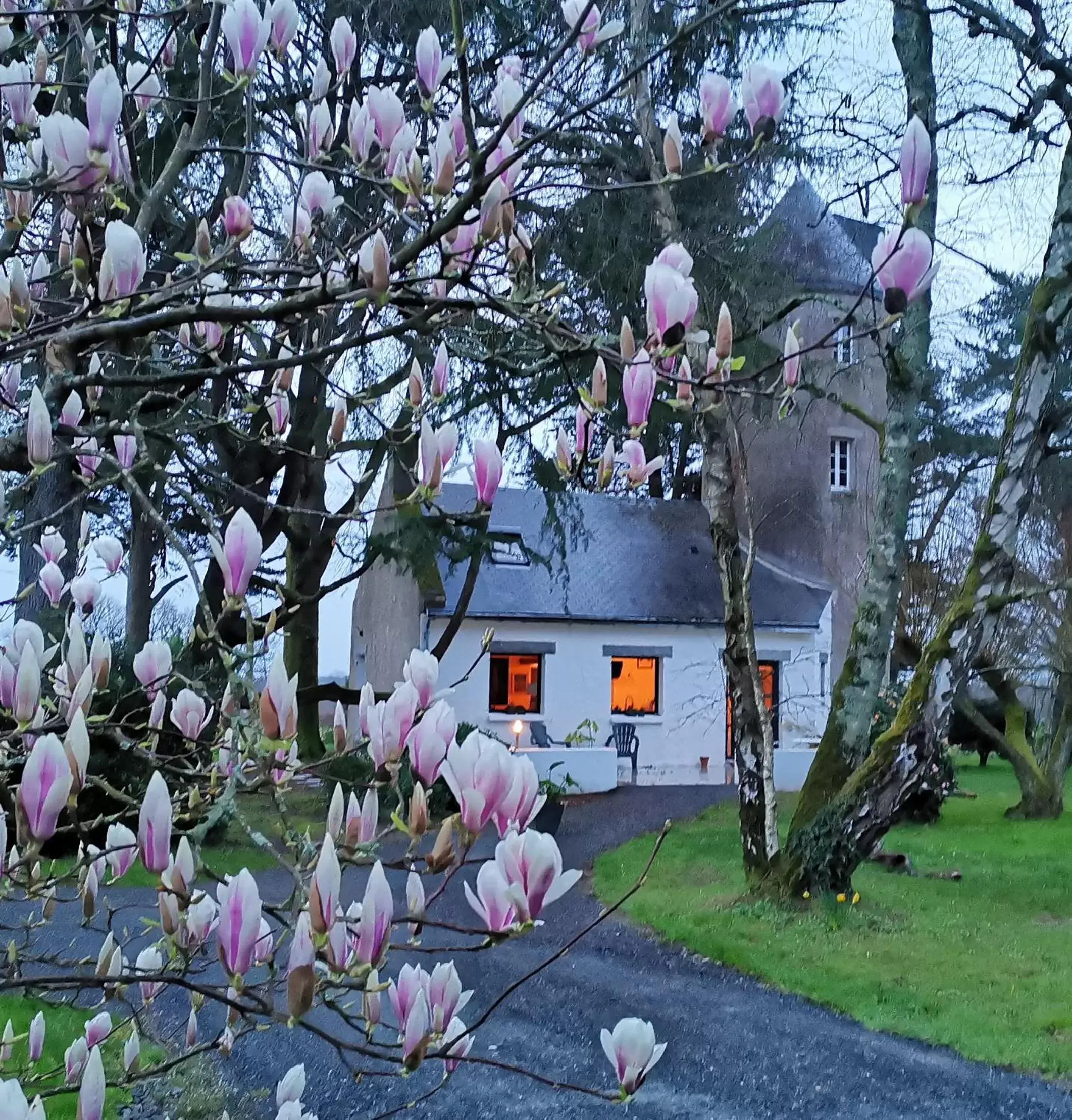 Property building, Garden in Le moulin de La Retardière