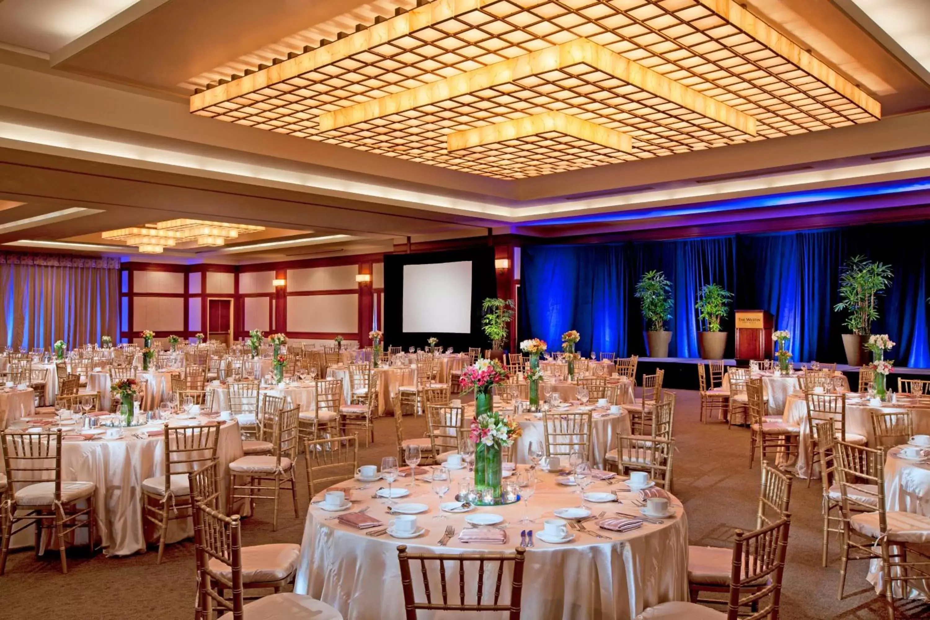 Meeting/conference room, Banquet Facilities in The Westin Long Beach