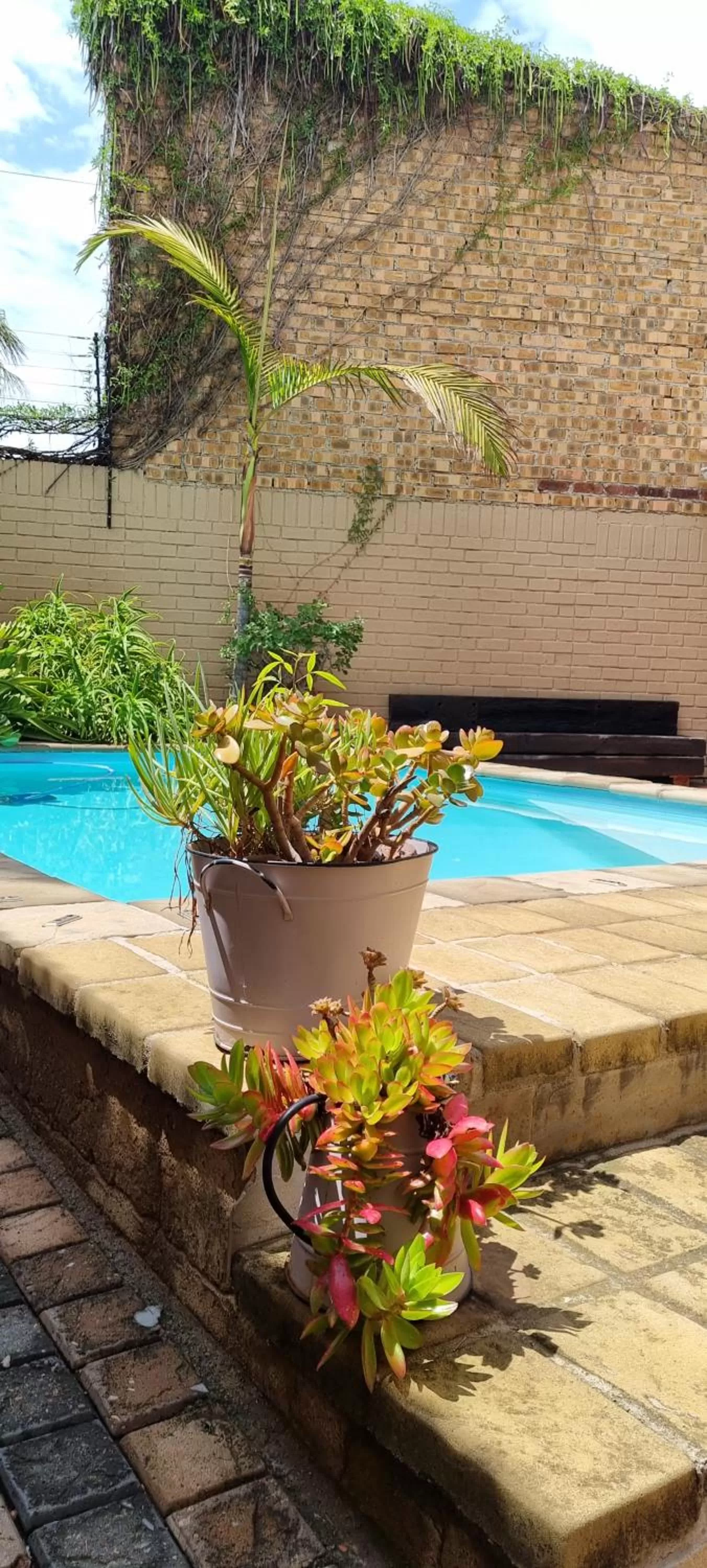Swimming pool in The Leopard Tree