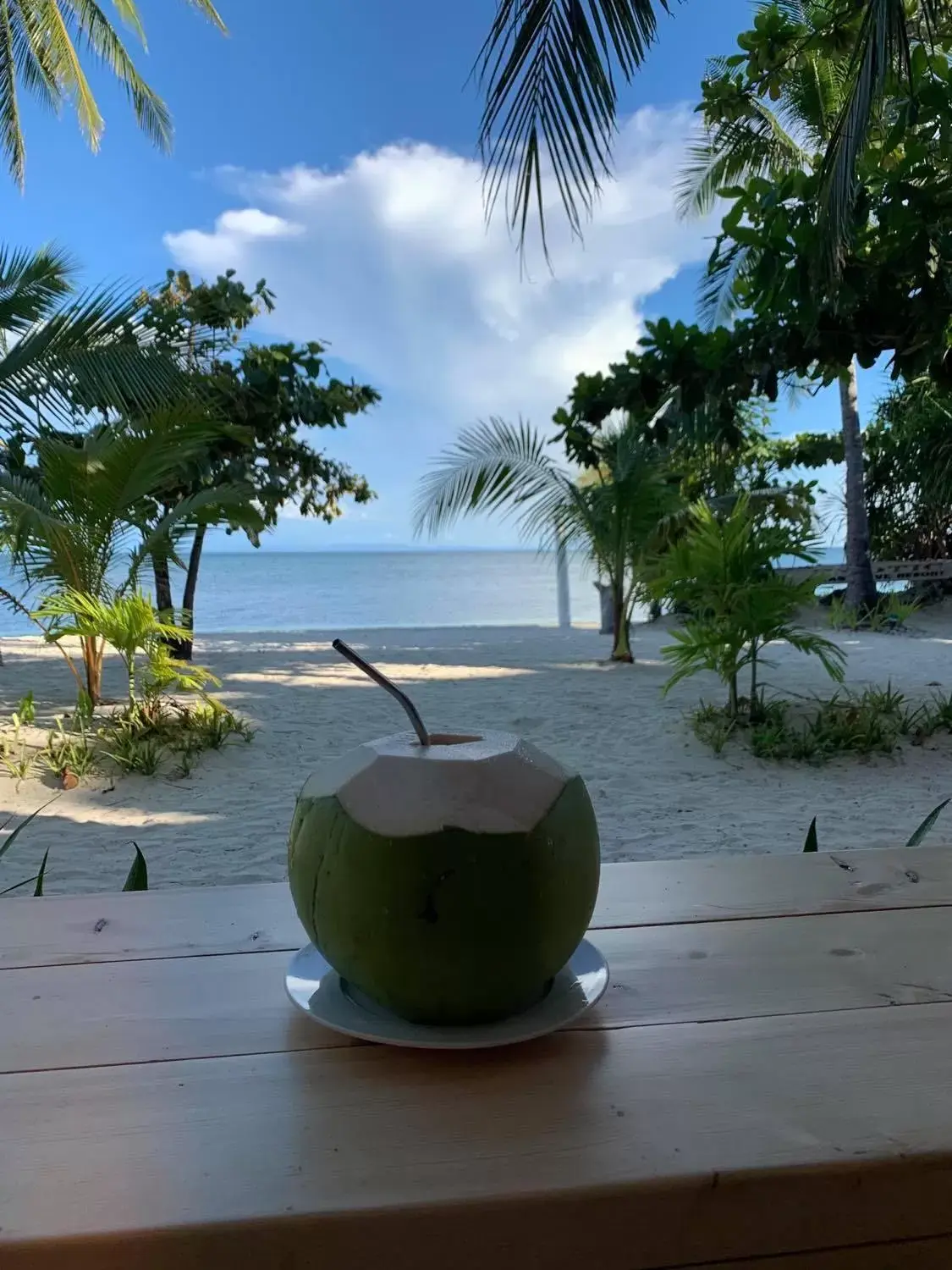 Drinks, Beach in Malapascua Exotic Island Dive Resort