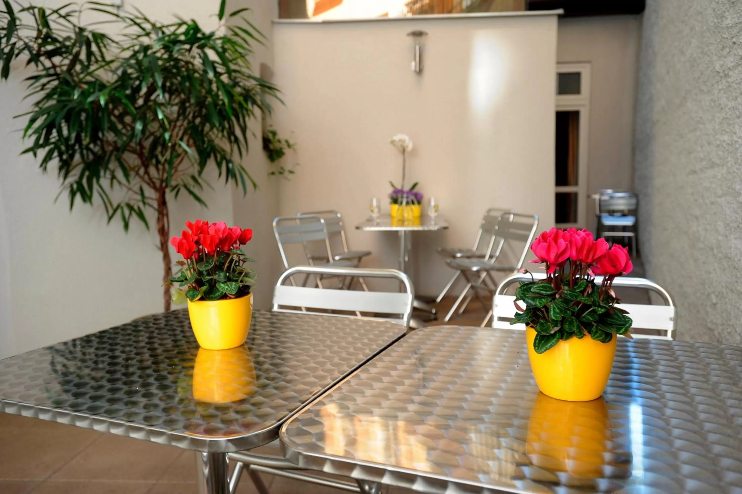 Balcony/Terrace in Hotel Petr