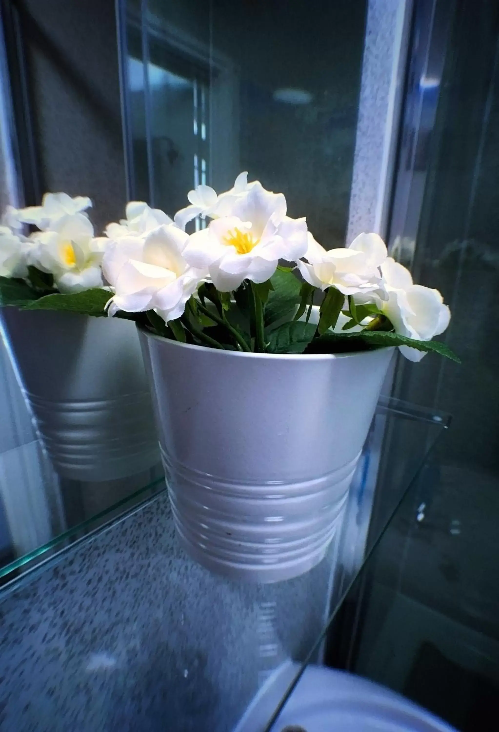 Decorative detail, Bathroom in Castle Terrace (B3 R2)