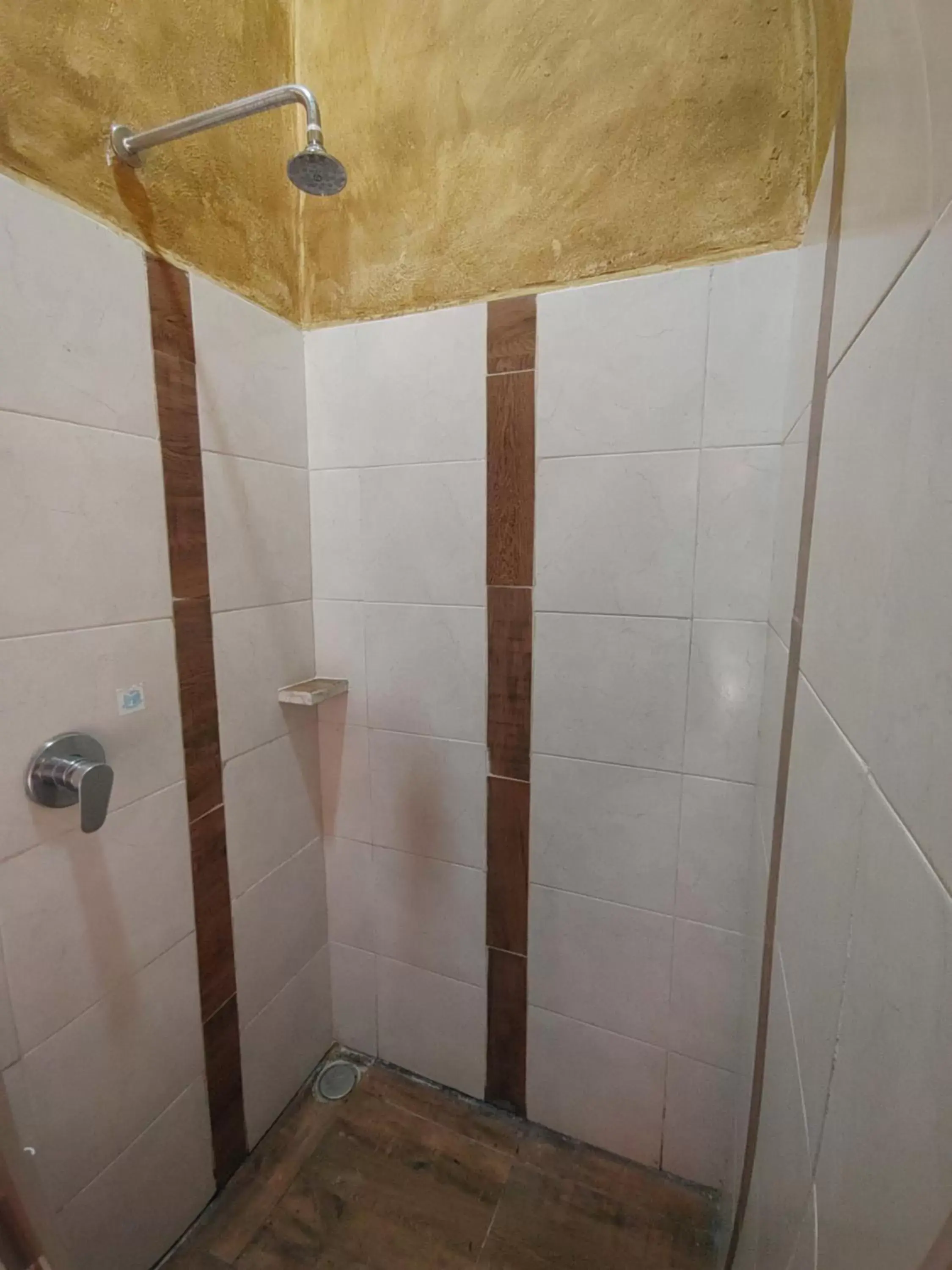 Shower, Bathroom in Hotel el Descanso