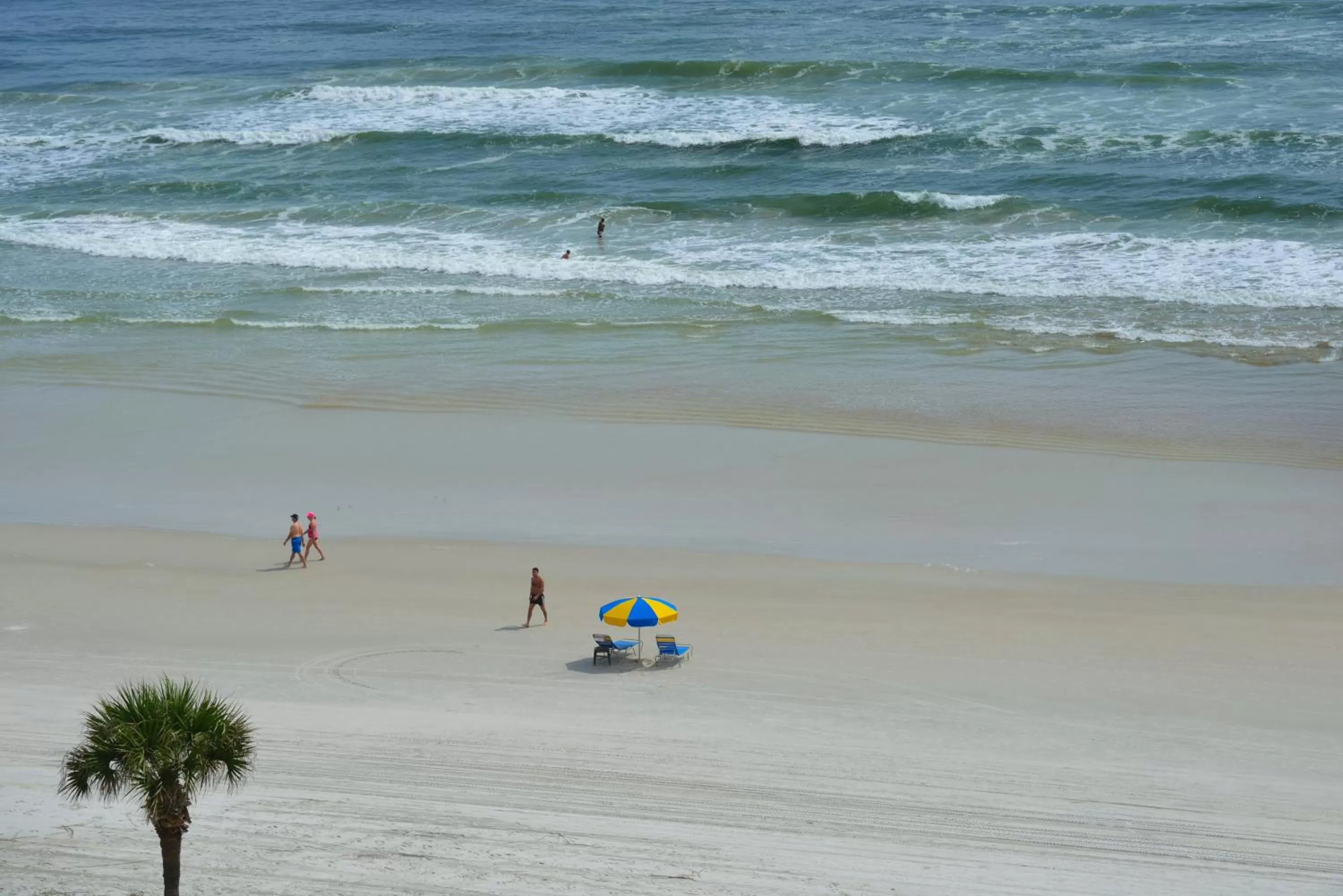 Beach in El Caribe Resort and Conference Center