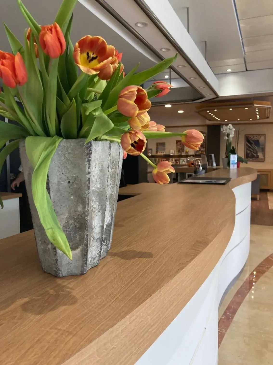 Lobby or reception in Hôtel Christina Lourdes Lobby or reception in Hôtel Christina Lourdes