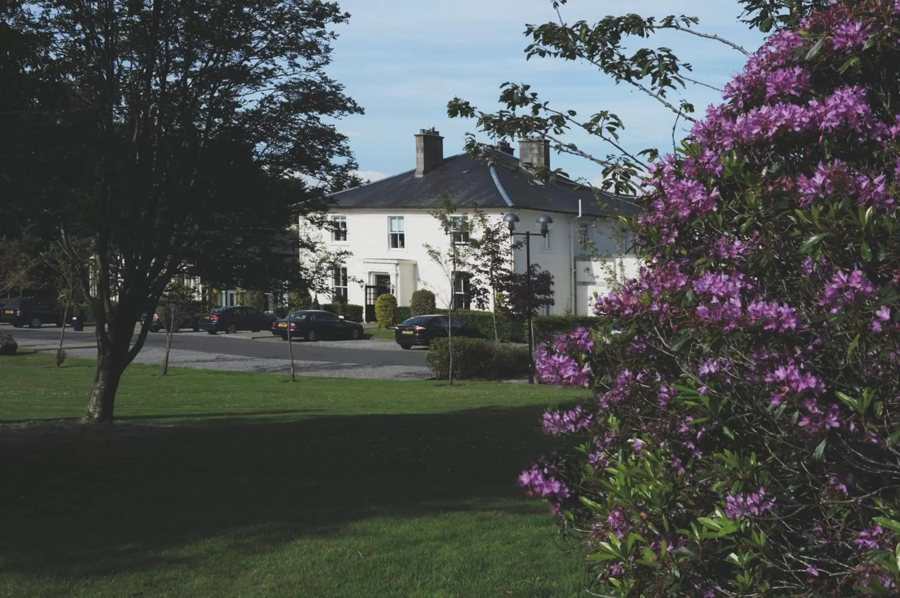 Facade/entrance in Macdonald Crutherland House Facade/entrance in Macdonald Crutherland House