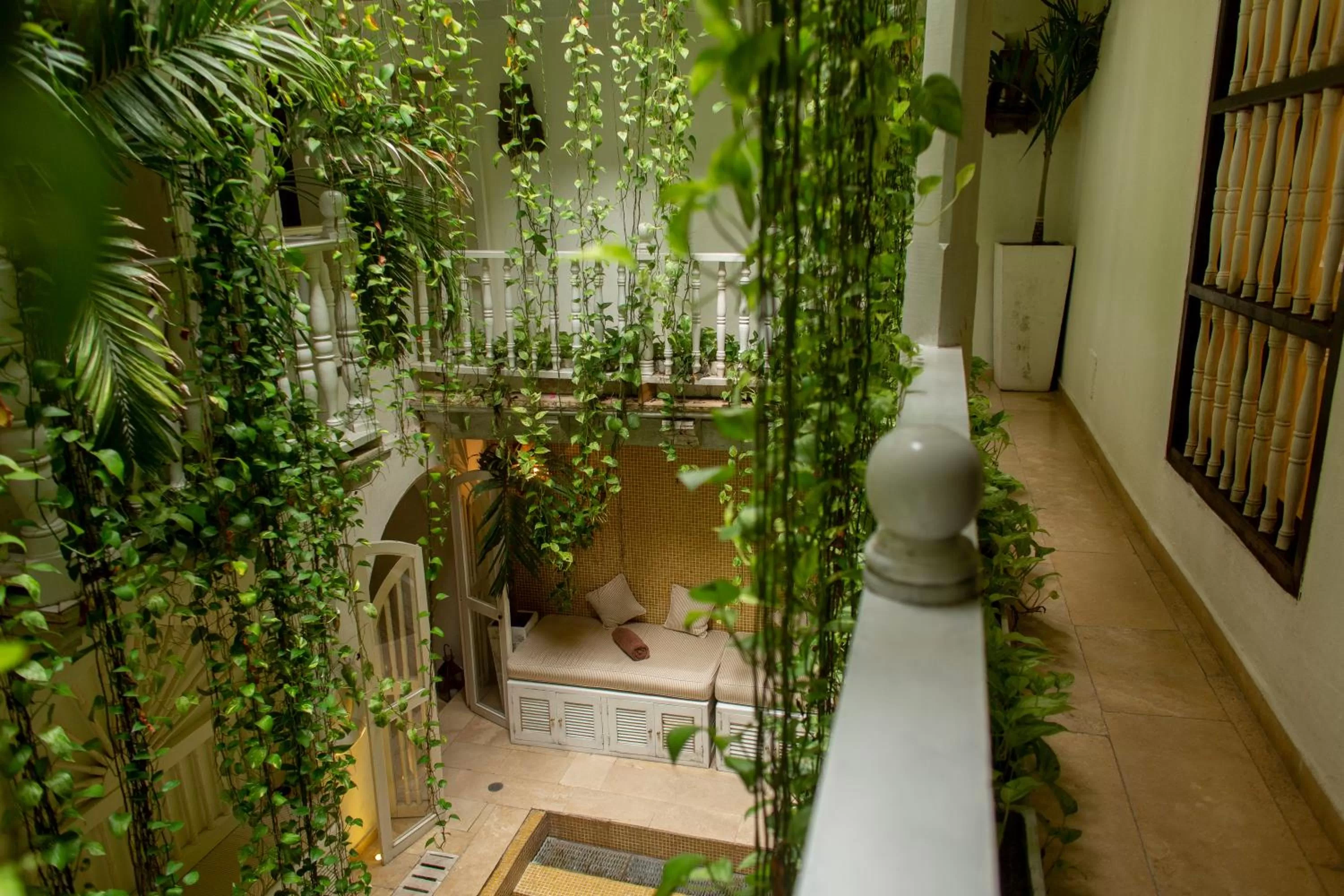 Garden view in Leones de Alba Hotel Boutique