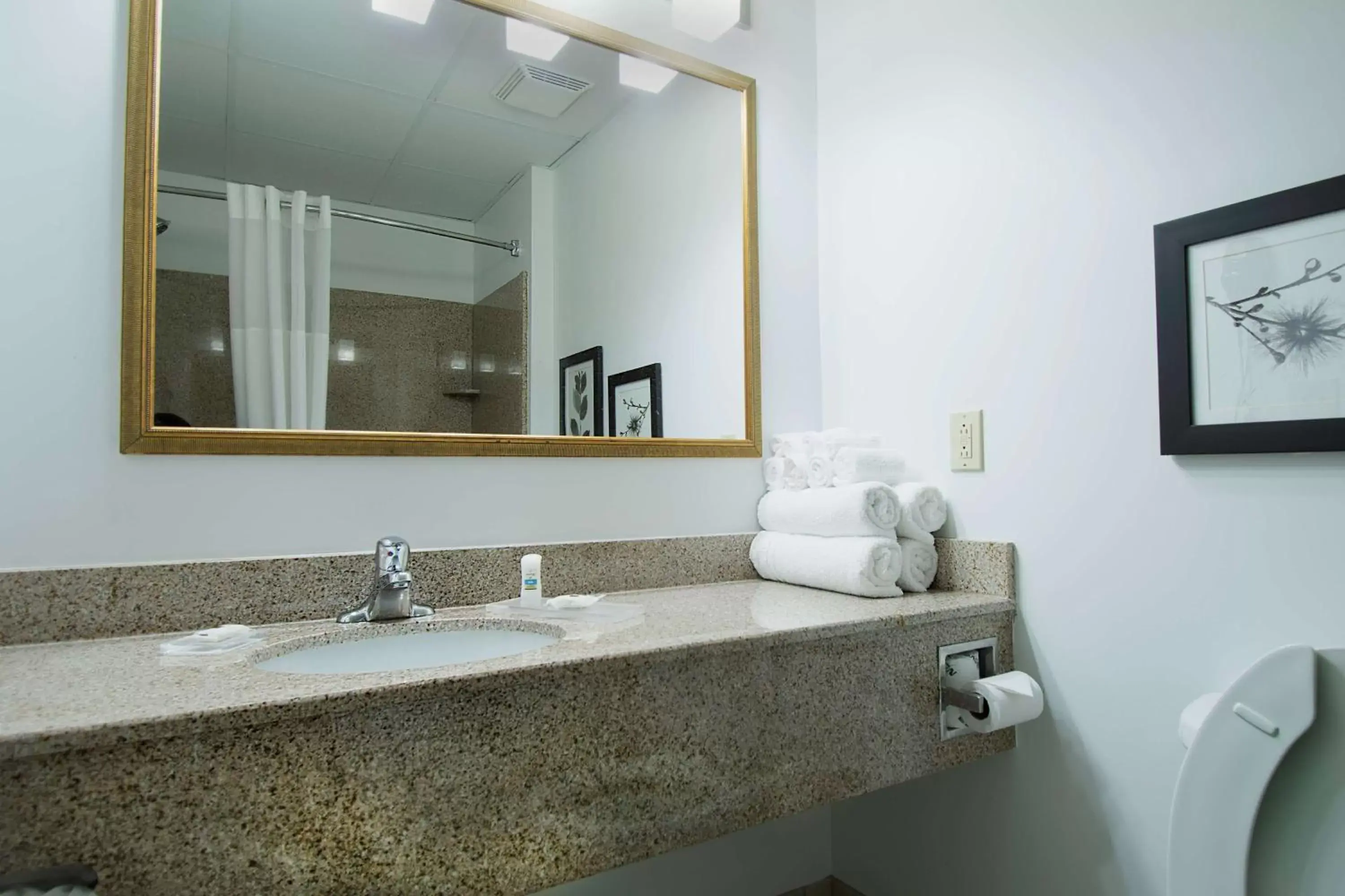 Bathroom in Country Inn & Suites by Radisson, Augusta at I-20, GA