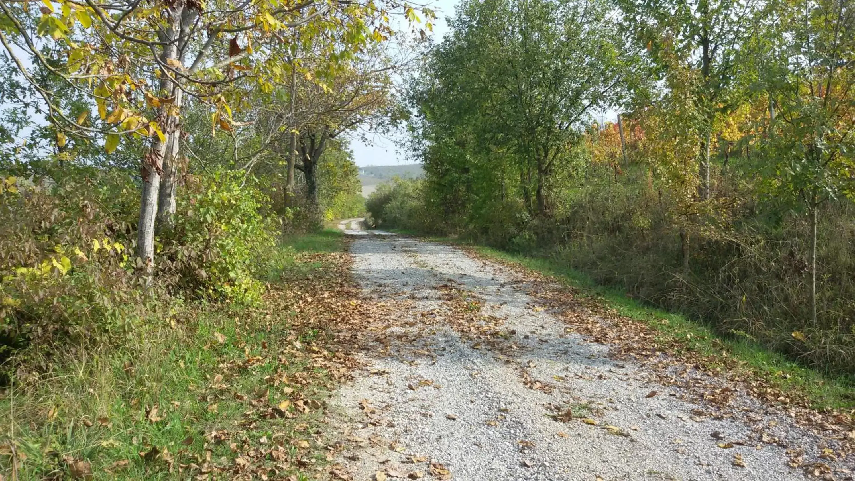 Street view, Natural Landscape in Cascina Torello