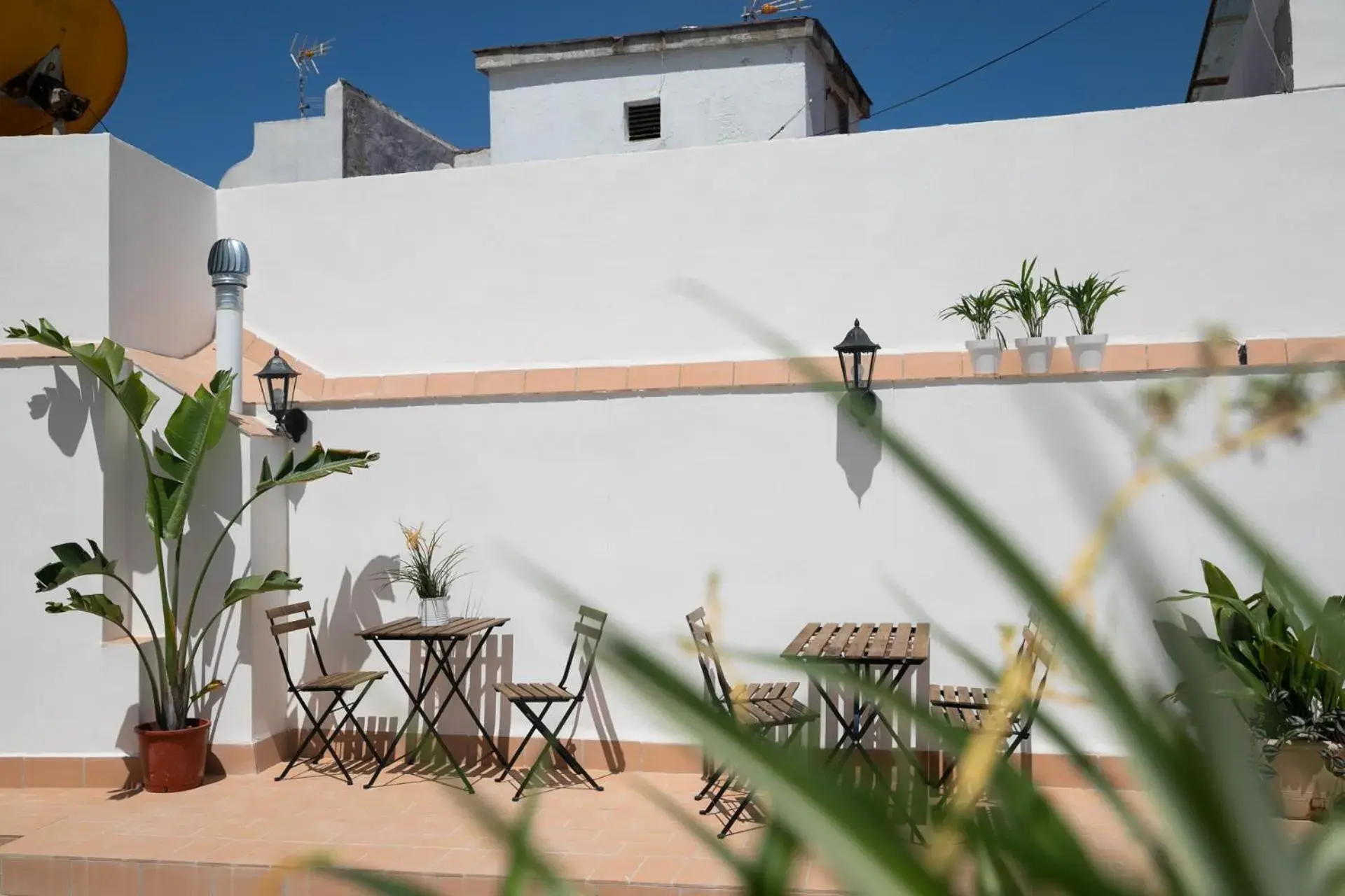 Balcony/Terrace in Planeta Cadiz Hostel