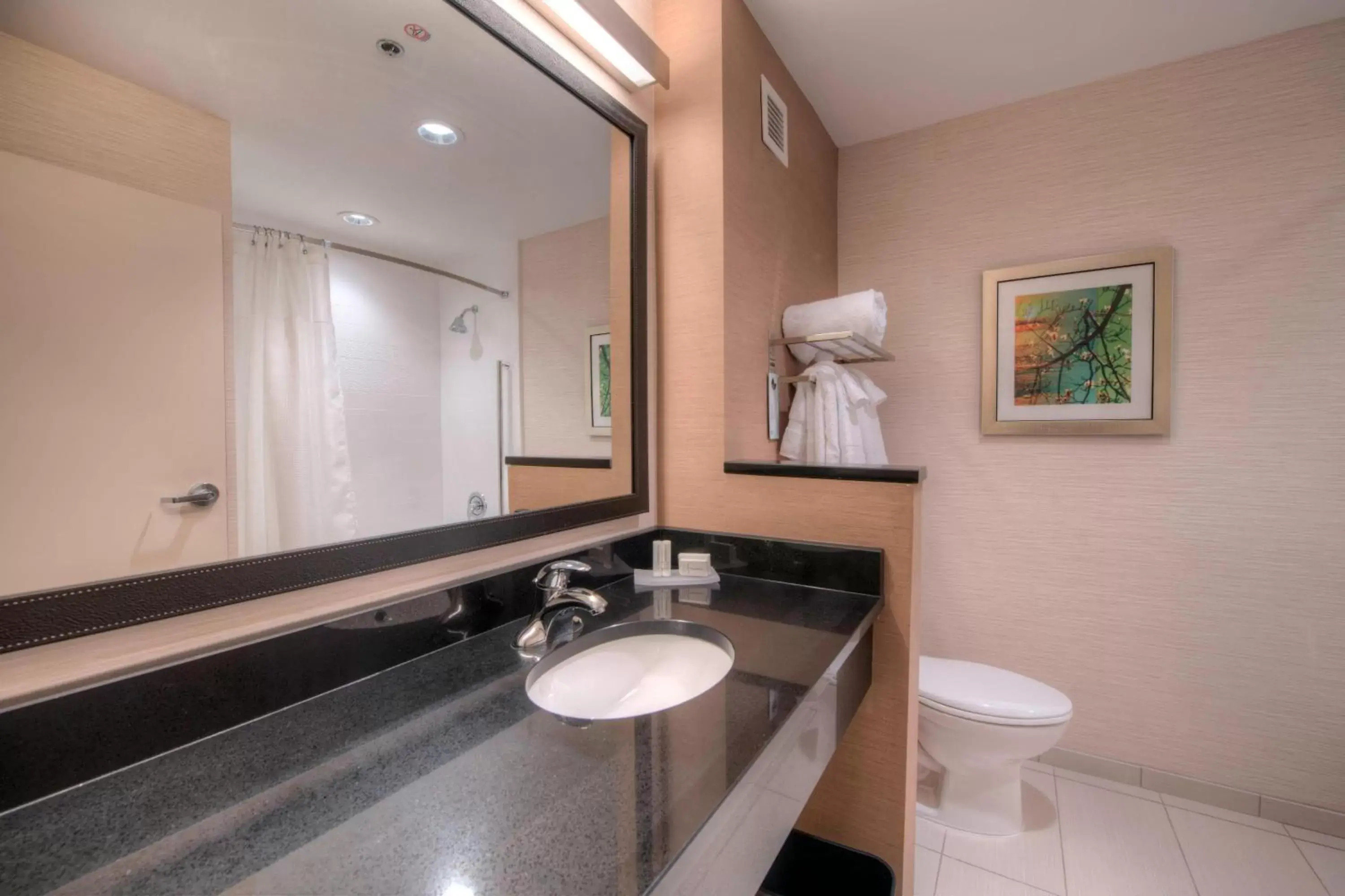 Bathroom in Fairfield Inn & Suites by Marriott Charlotte Airport