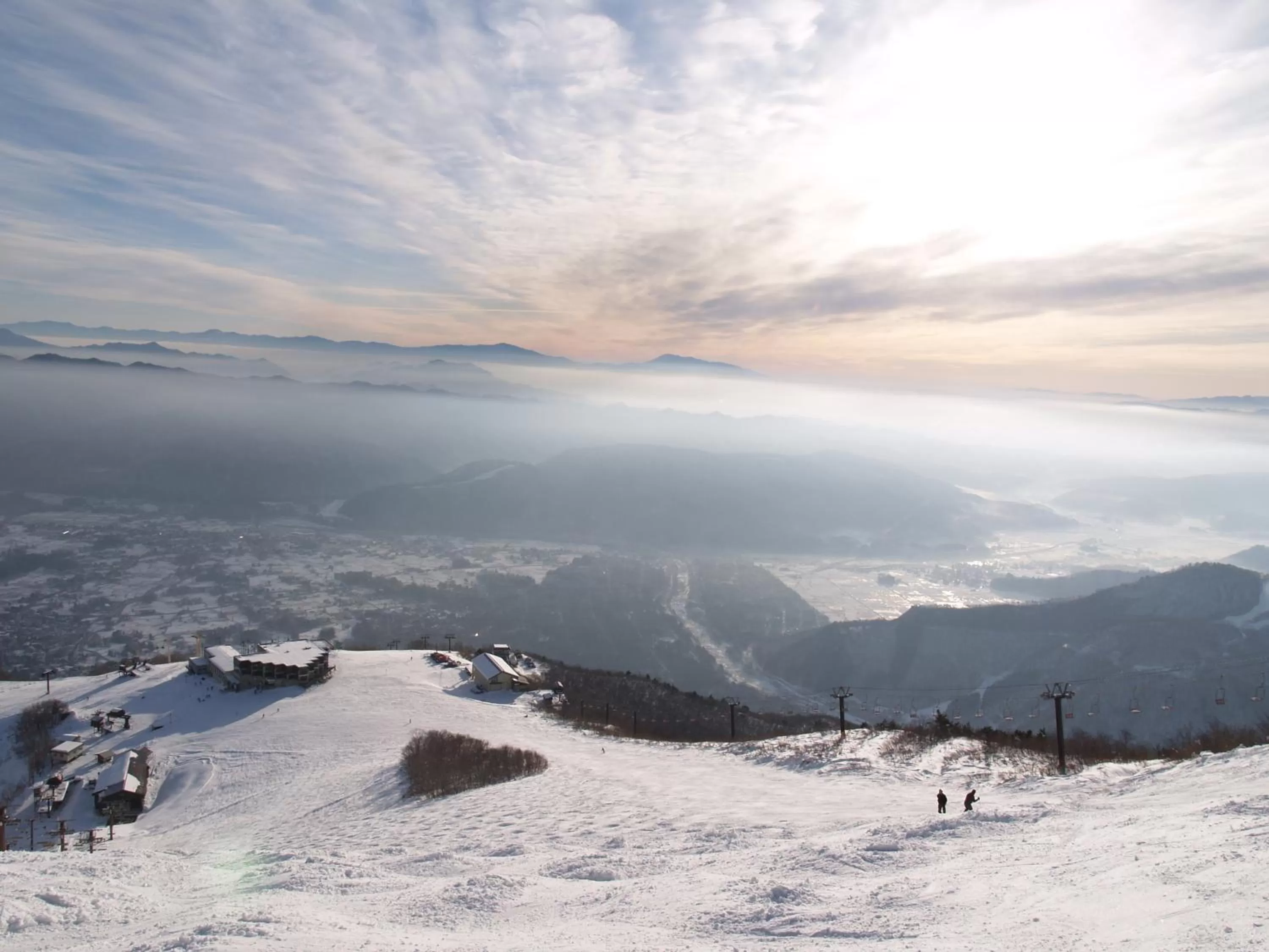 Natural landscape in Hotel Oak Forest