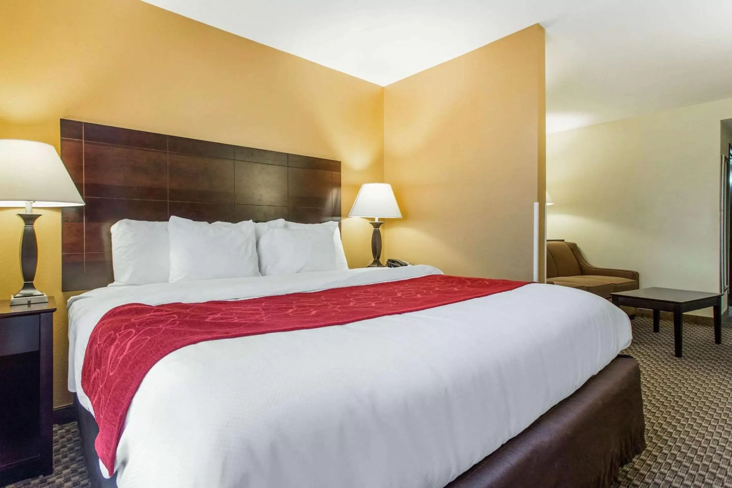 King Suite - Non-Smoking in Comfort Suites Clinton near Presbyterian College King Suite - Non-Smoking in Comfort Suites Clinton near Presbyterian College