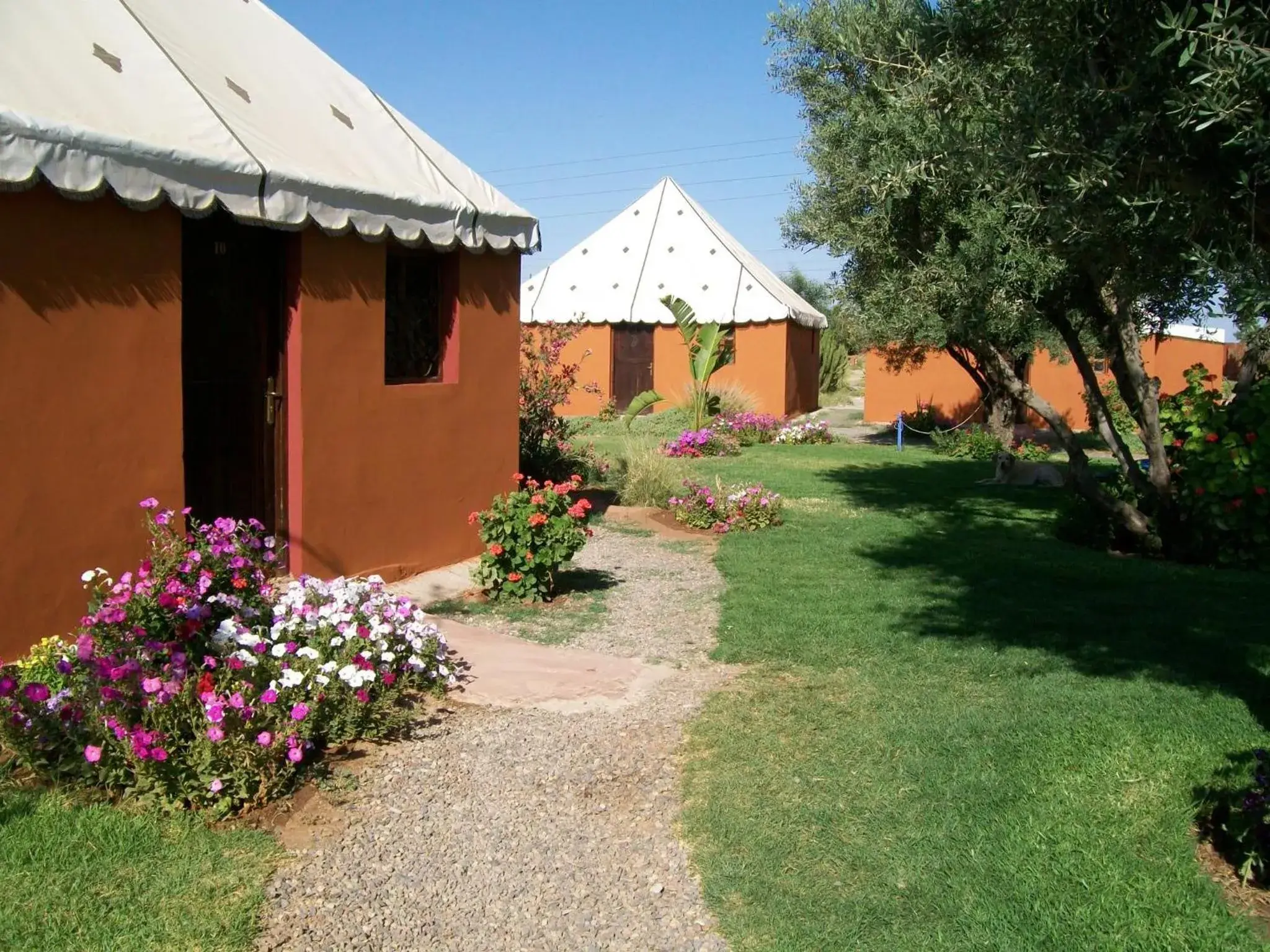 Garden, Property Building in Le Relais De Marrakech