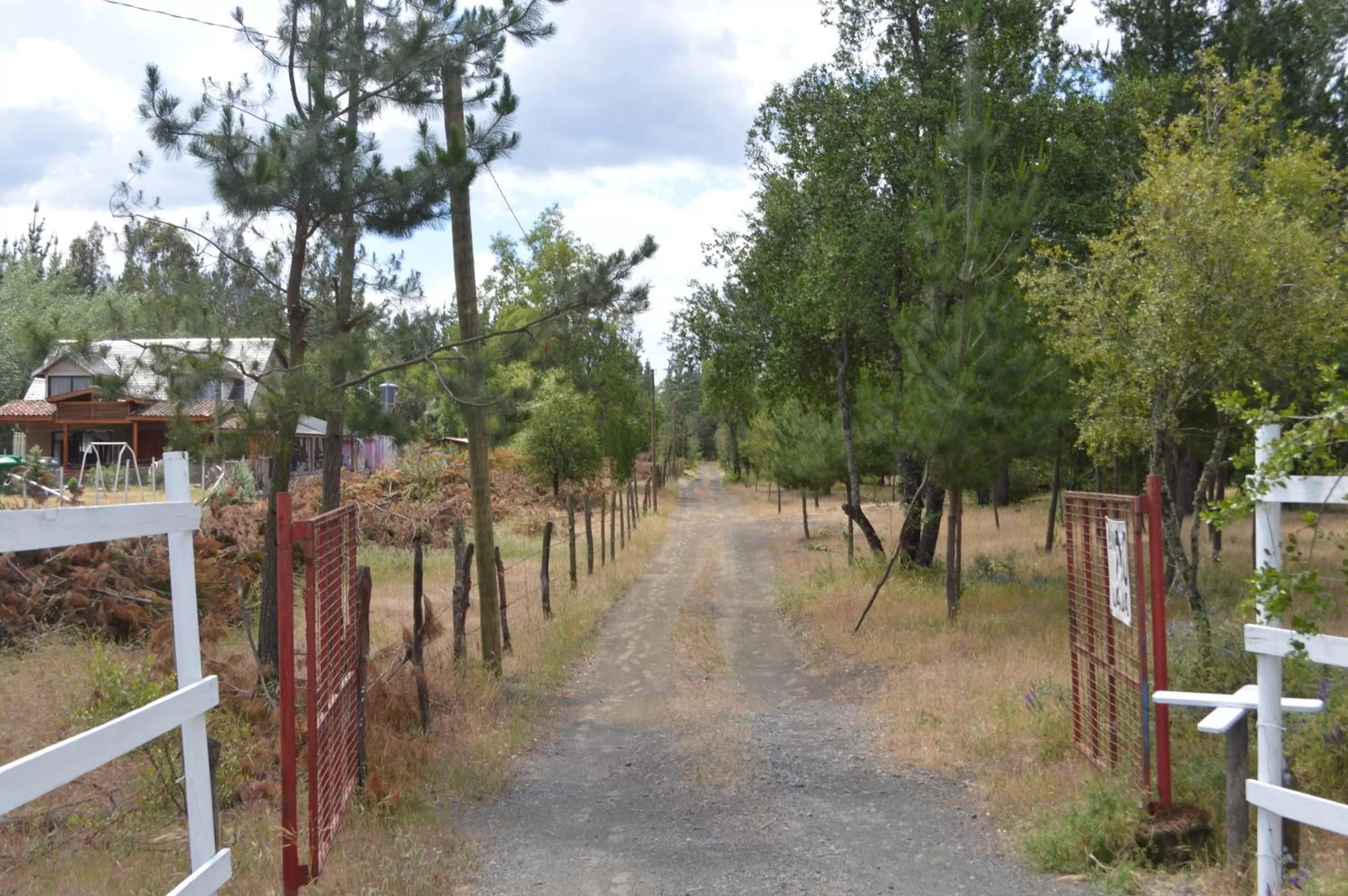 Coyunche Cabañas y Camping Laja & San Rosendo