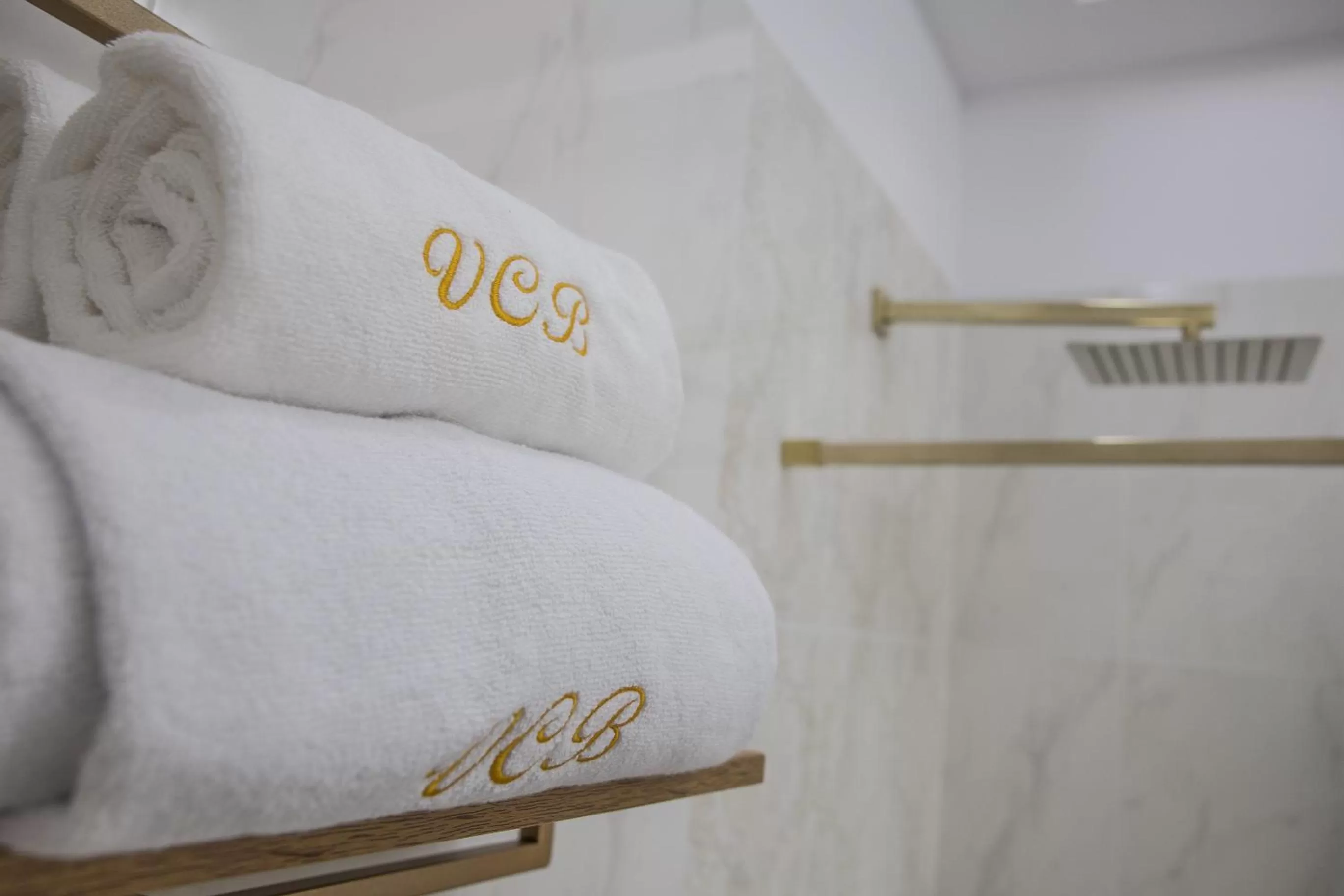 Hotel Vila Central Boutique Satu Mare