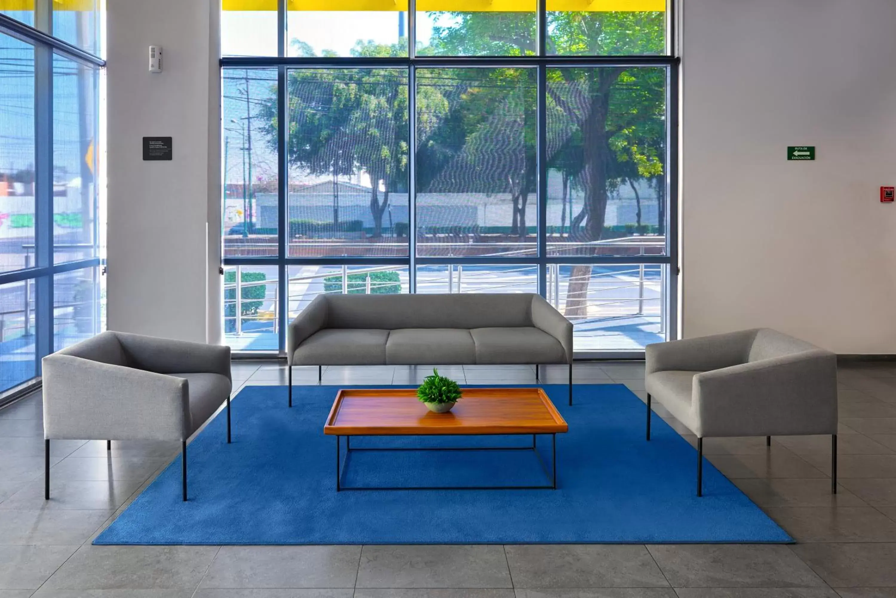 Living room, Seating Area in City Express by Marriott CDMX La Villa