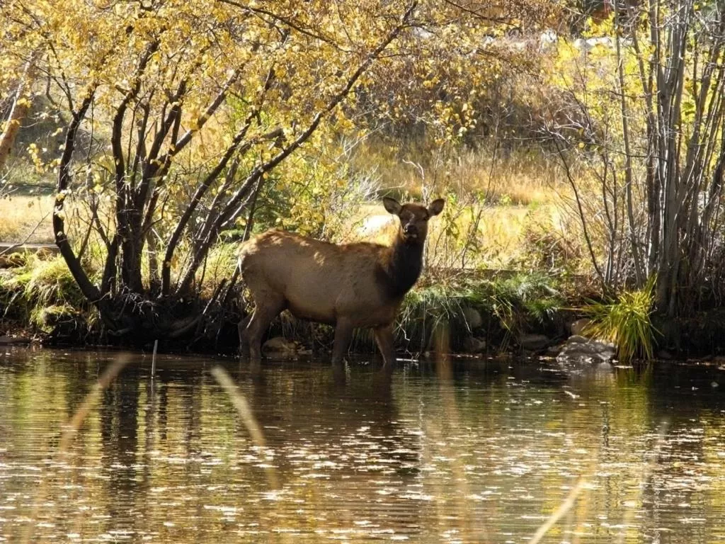 Natural landscape in Riversong Inn Retreat