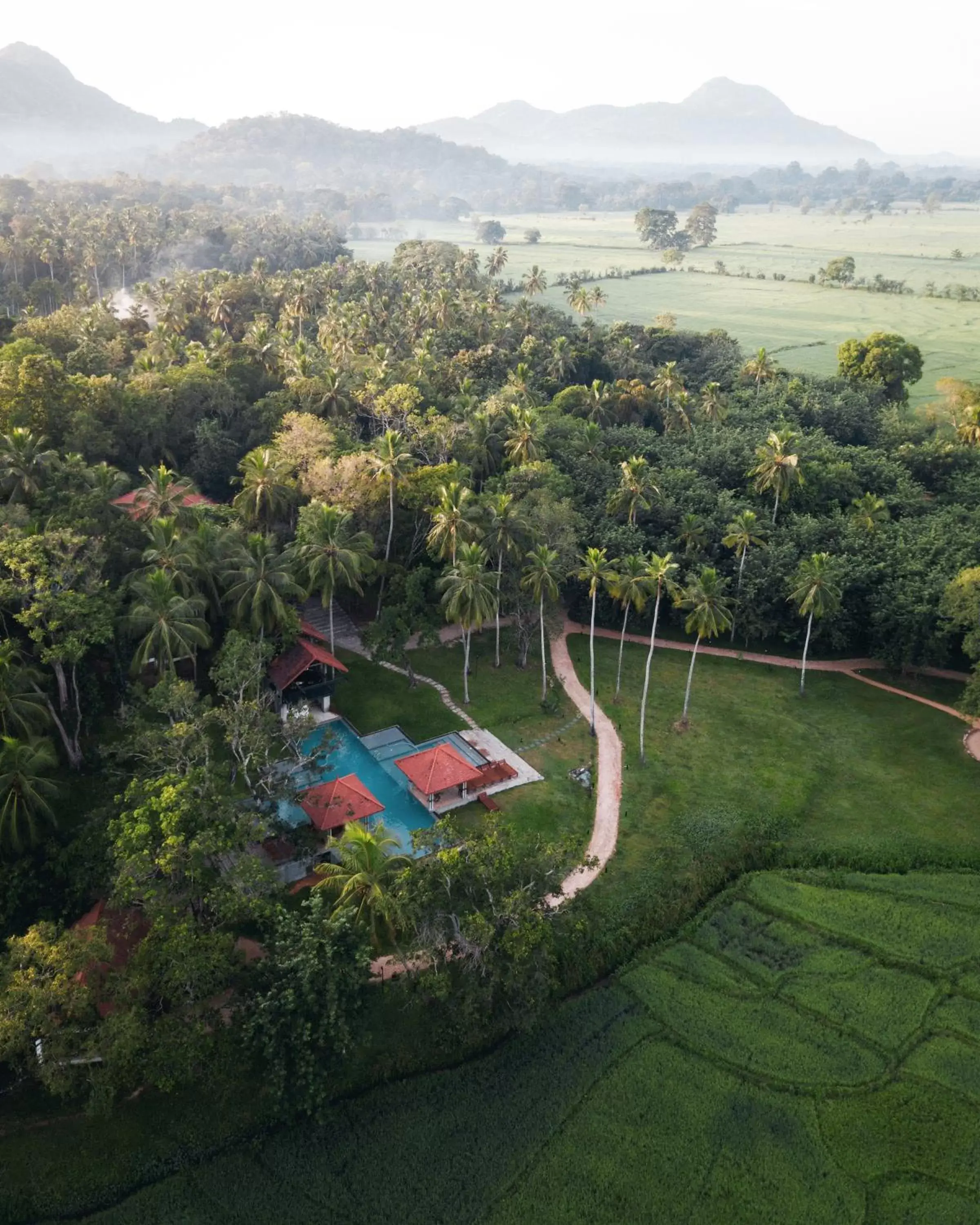 Bird's eye view, Bird's-eye View in Jetwing Kaduruketha