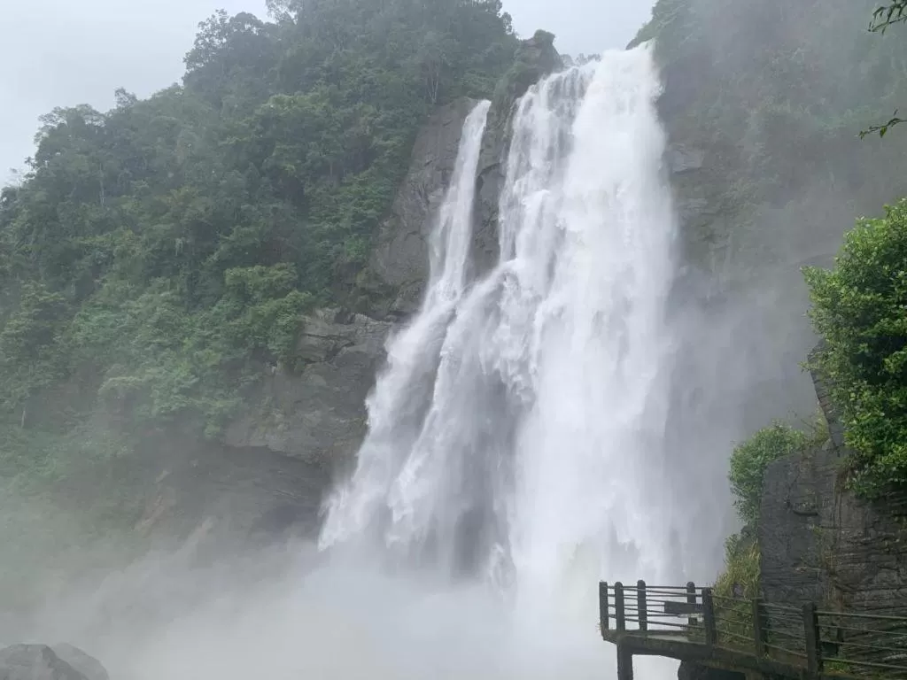 Natural landscape in Rock View Rest Hatton