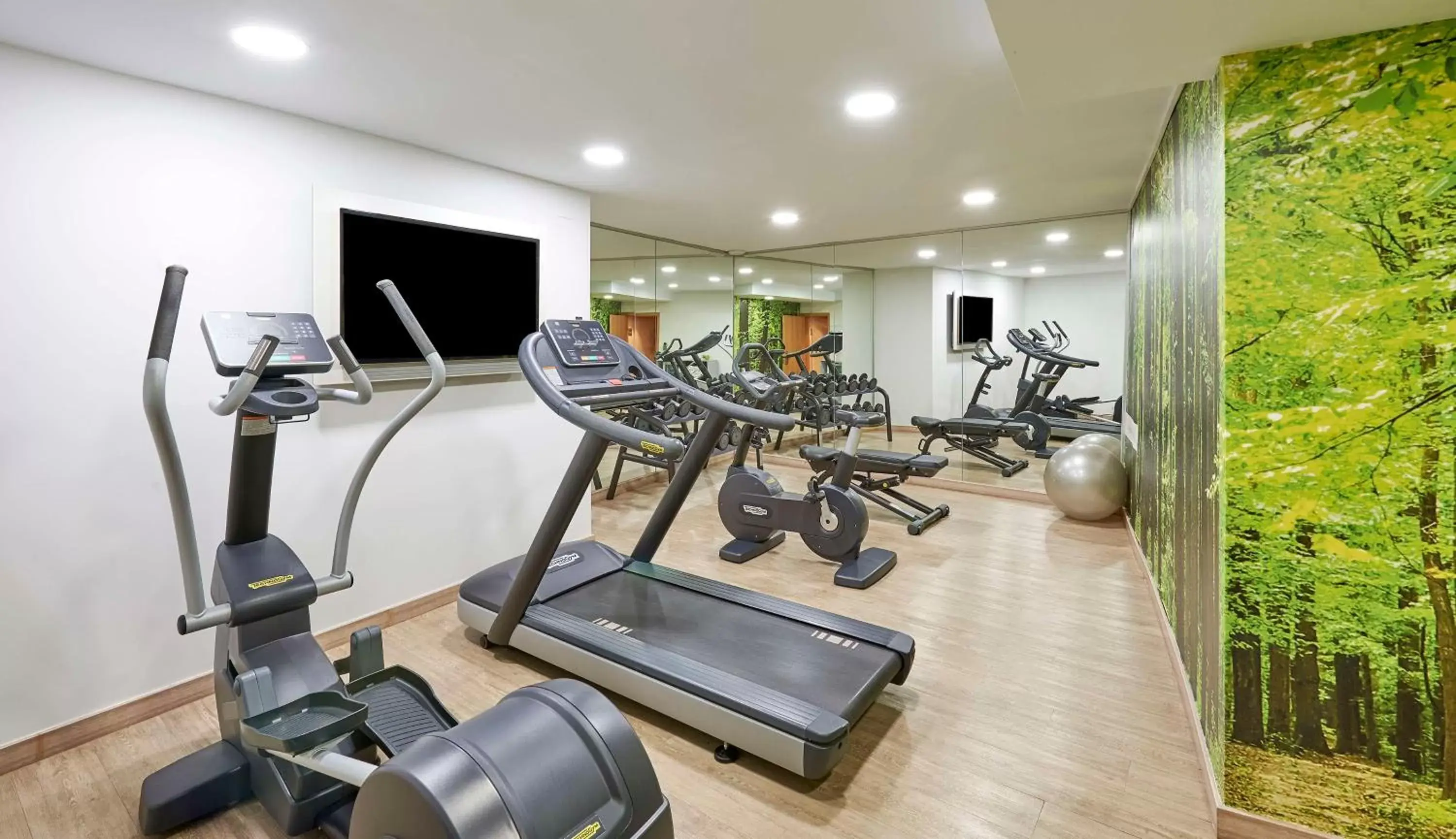 Fitness centre/facilities, Fitness Center/Facilities in NH Collection Cáceres Palacio de Oquendo
