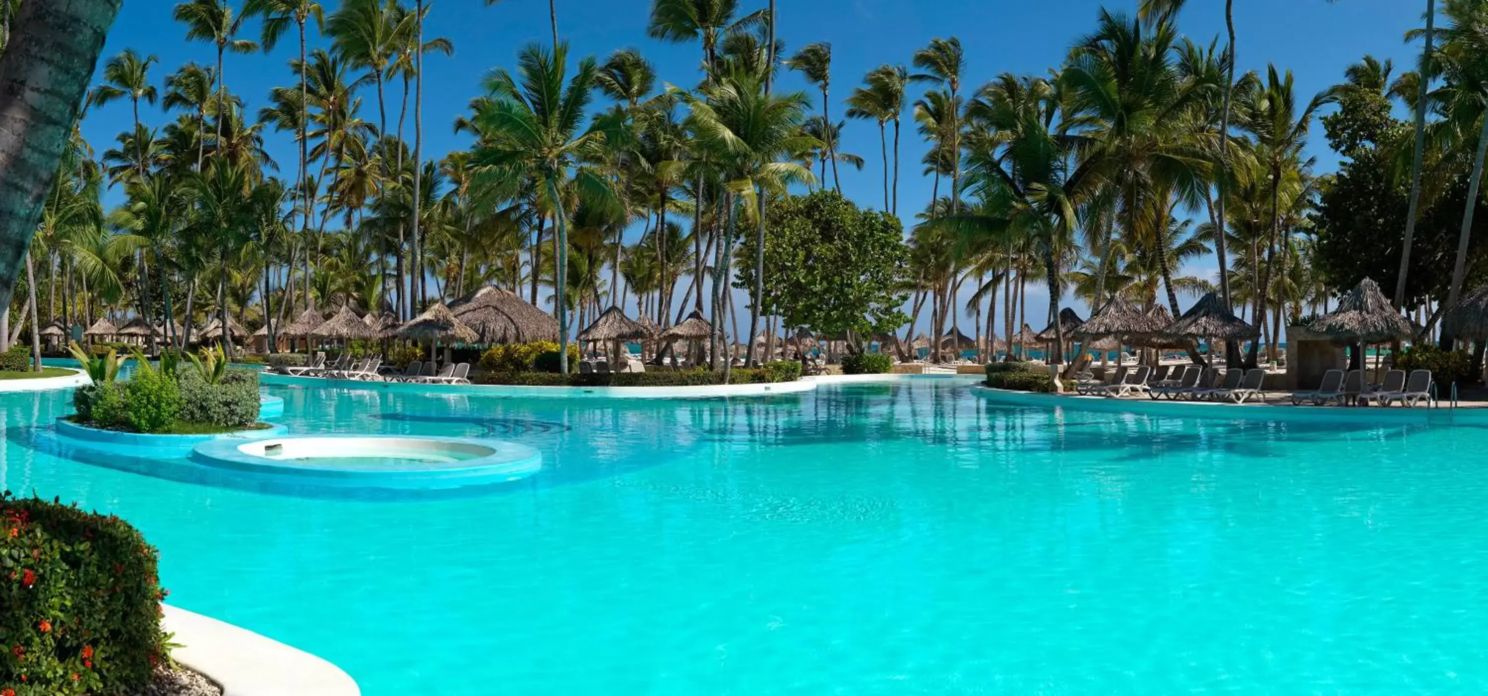 Pool view, Swimming Pool in Meliá Punta Cana Beach Wellness Inclusive - Adults only