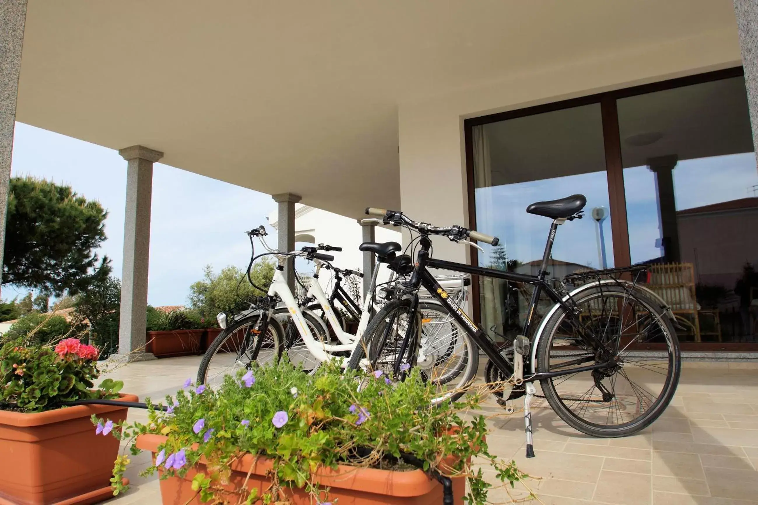 Cycling in Hotel La Tartaruga Bianca