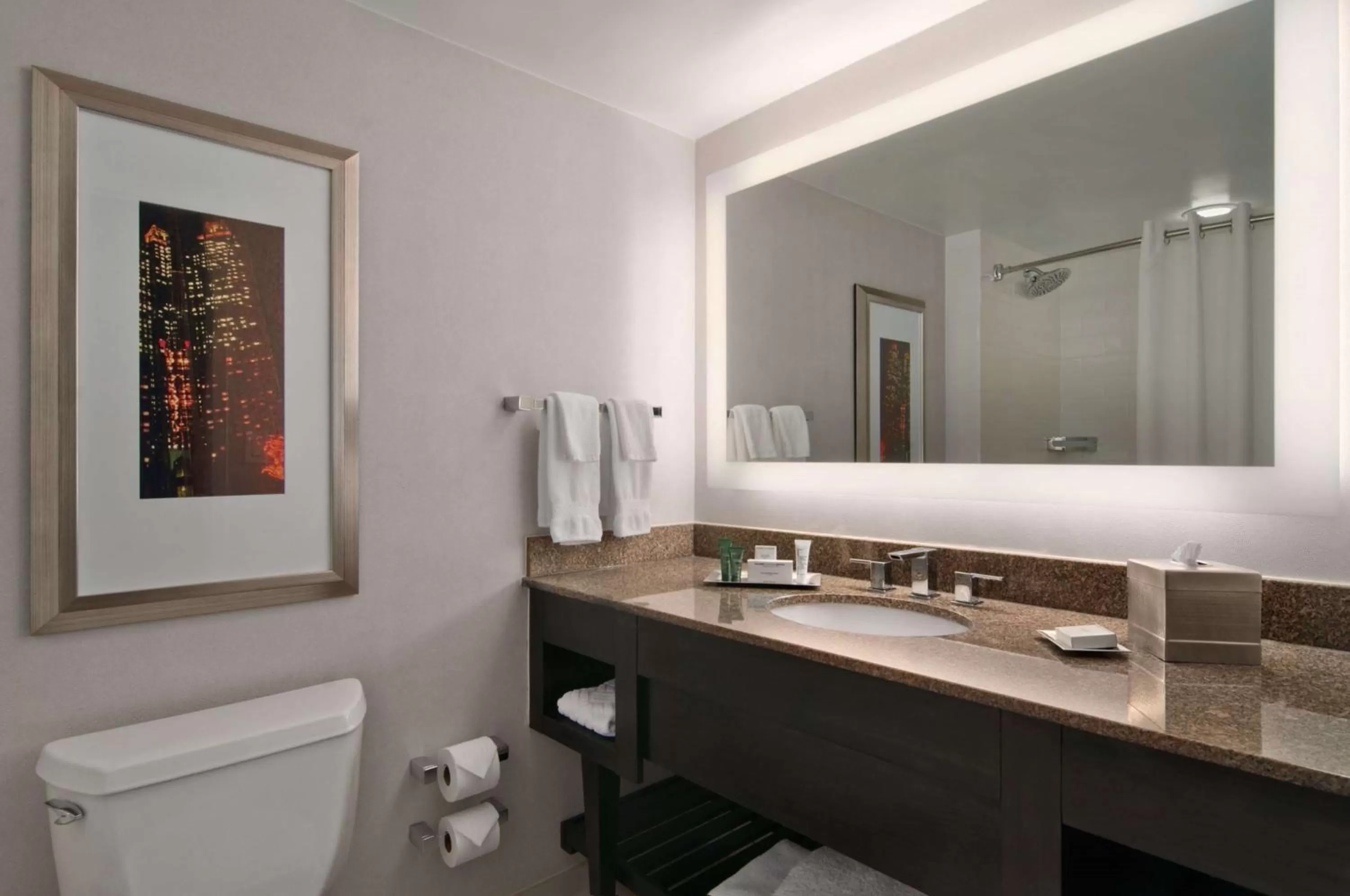 Bathroom in Hilton Atlanta Airport