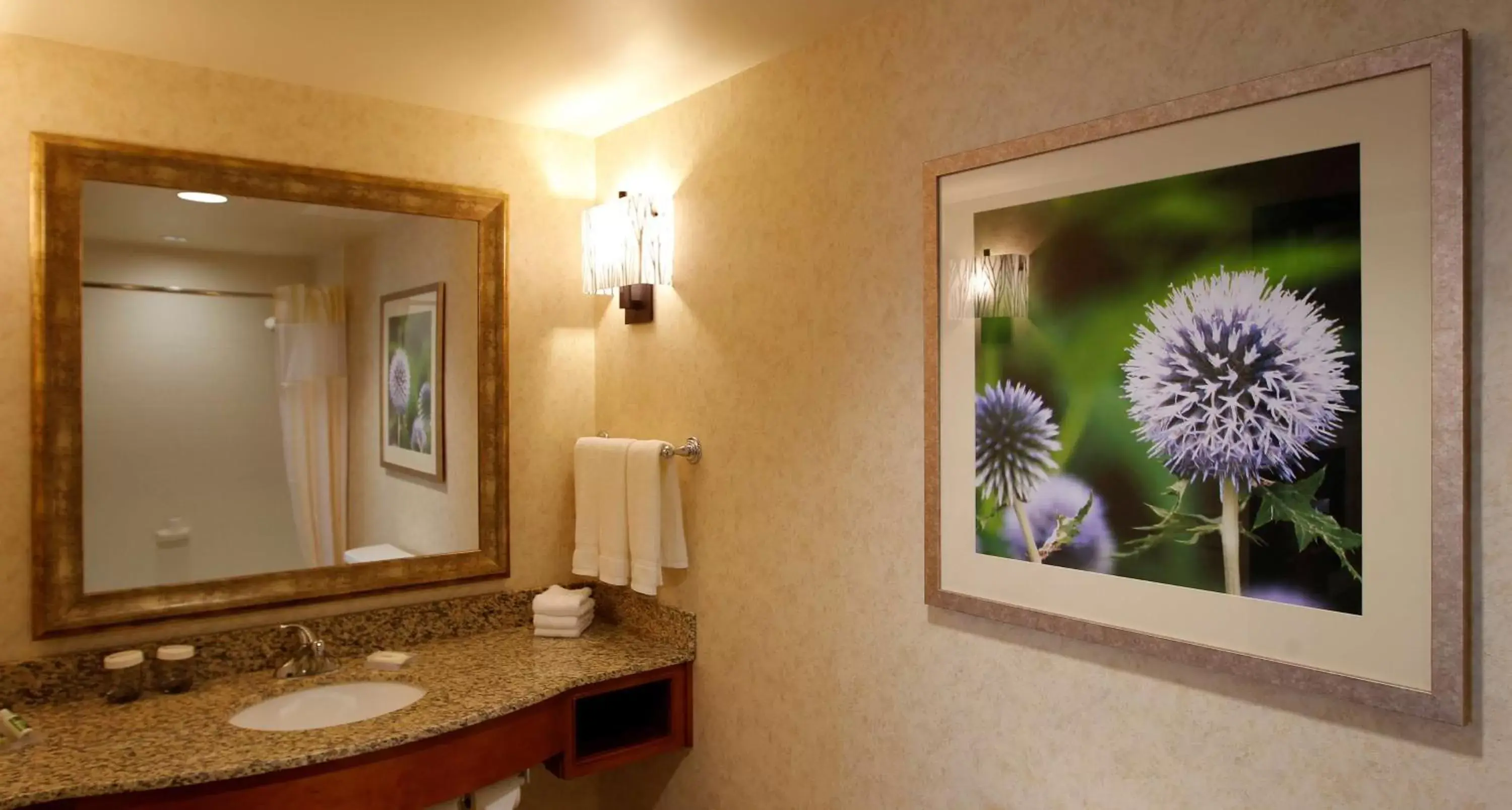 Bathroom in Hilton Garden Inn Cedar Falls Conference Center