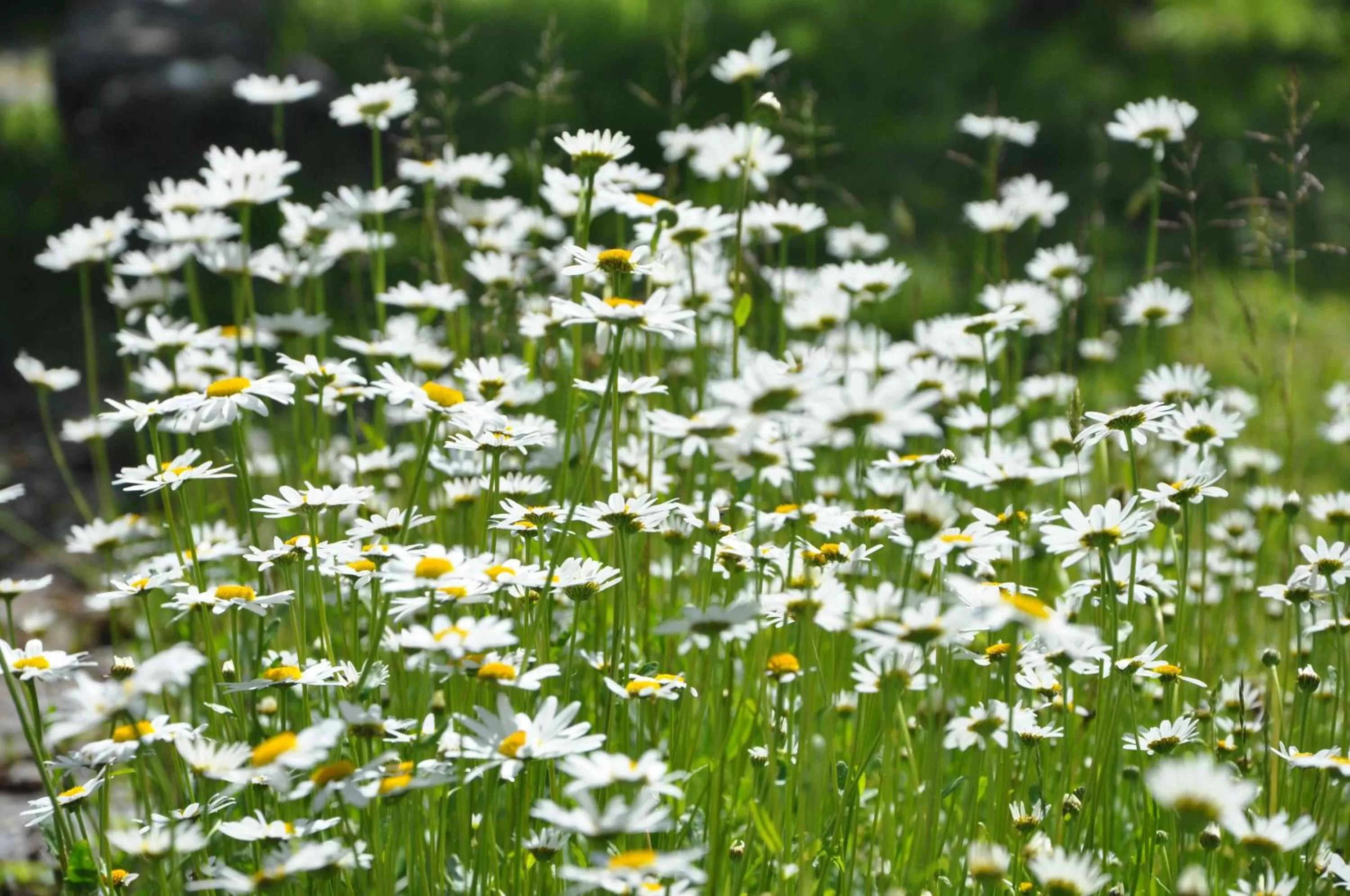Other in Bed and Breakfast Bavaria München