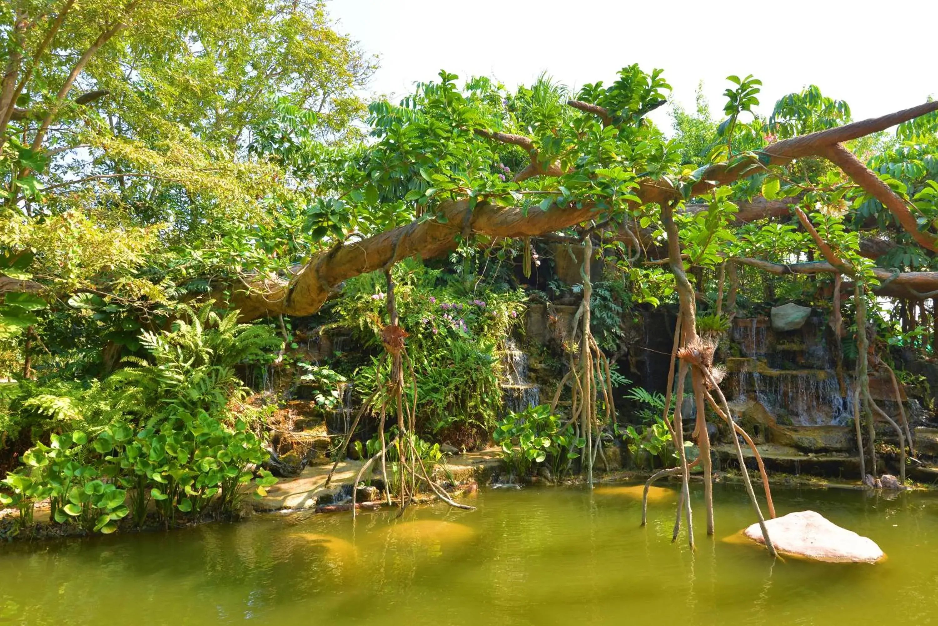 Garden in Blues River Resort