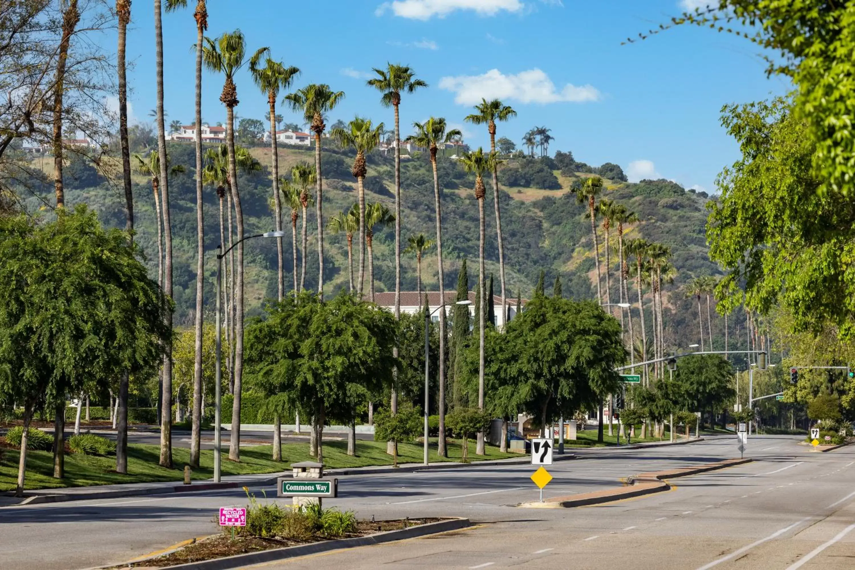 Neighbourhood in The Anza-a Calabasas Hotel