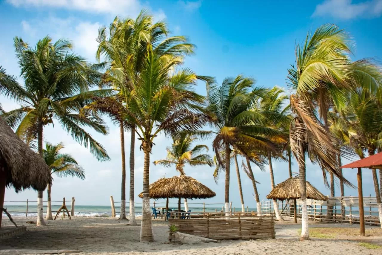 Sea view in Tadù Playa Hotel