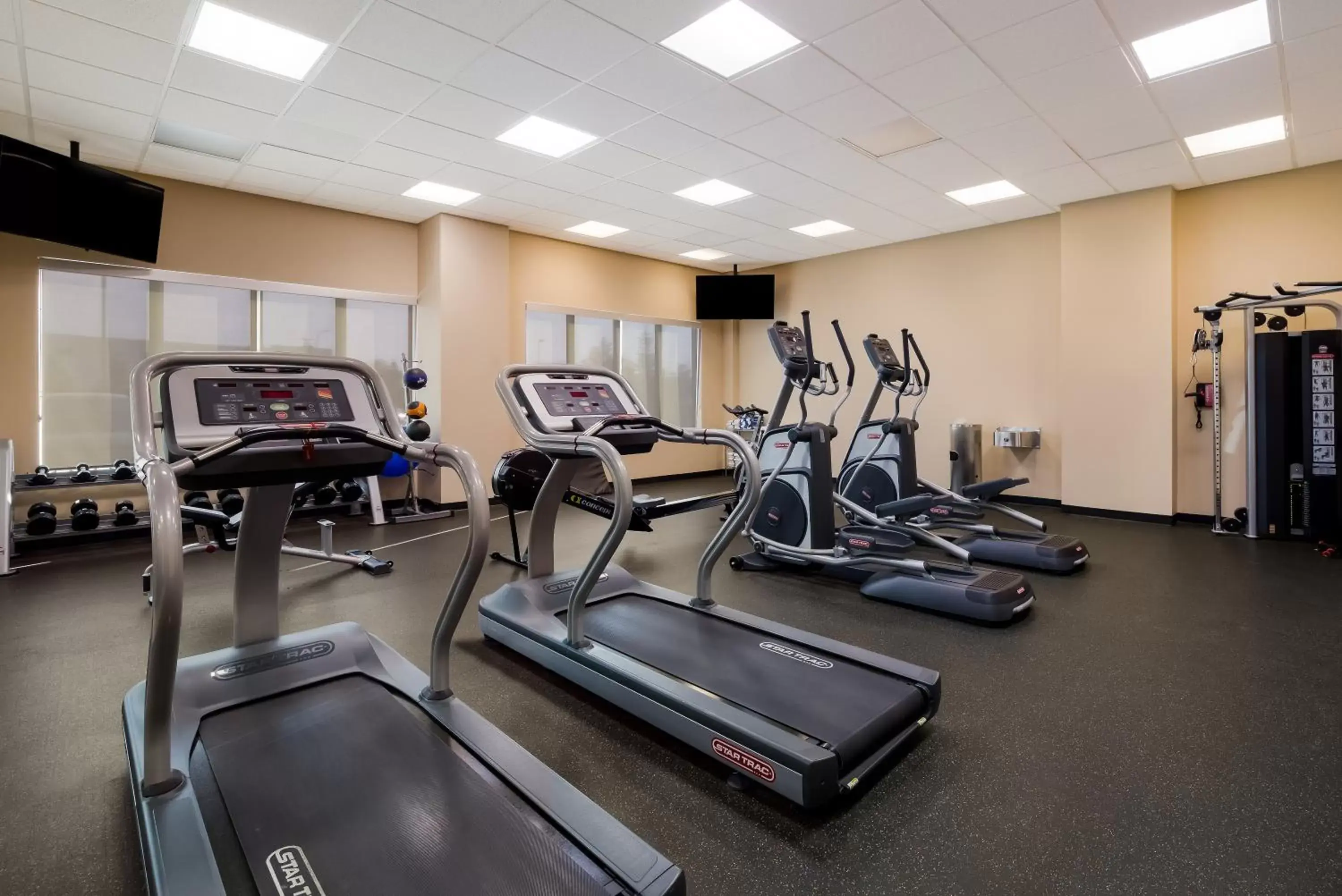 Fitness centre/facilities in Hotel 11, MOD A Sonesta Collection Fitness centre/facilities in Hotel 11, MOD A Sonesta Collection