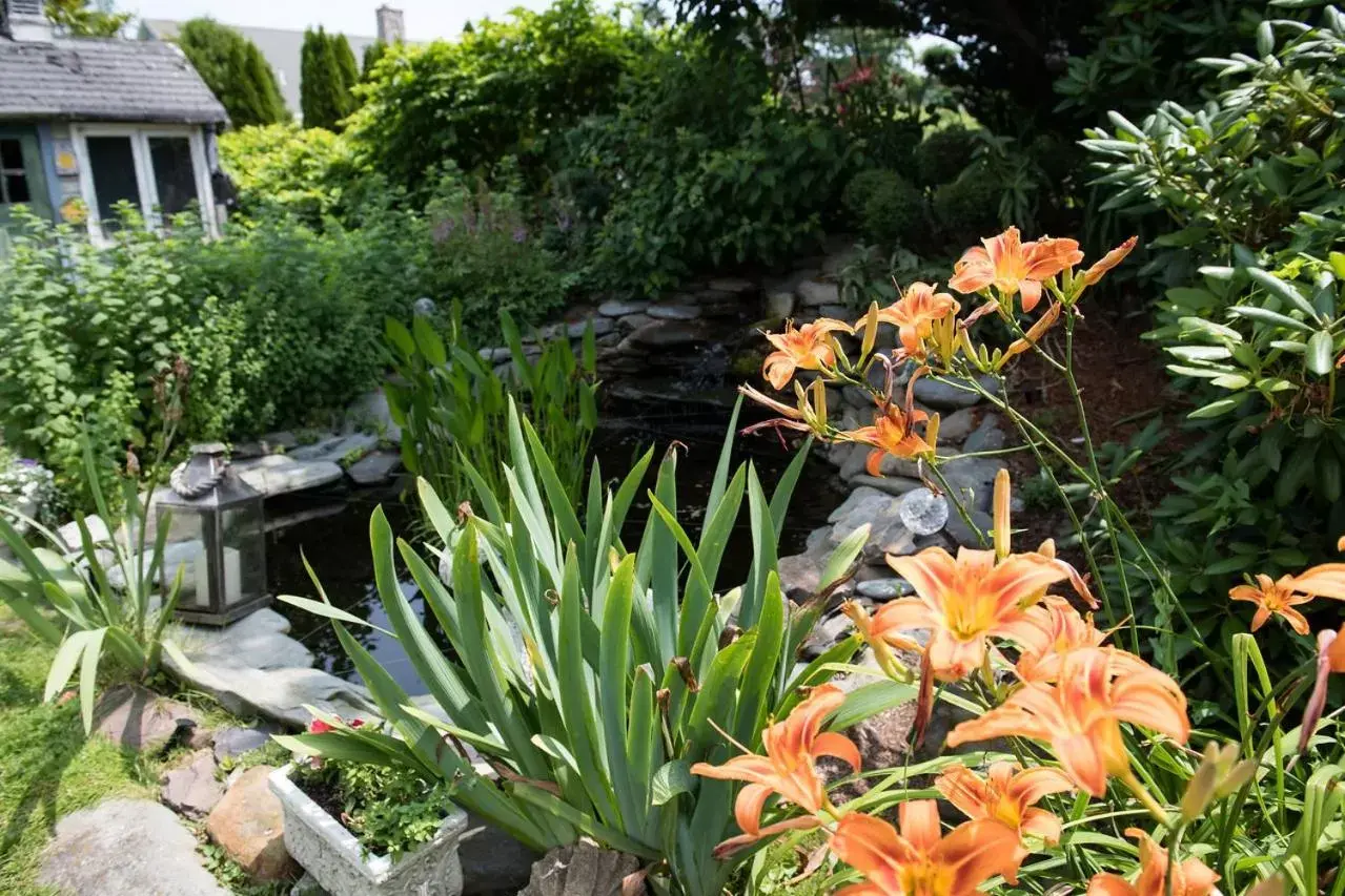 Garden in Gardenview Bed and Breakfast Garden in Gardenview Bed and Breakfast