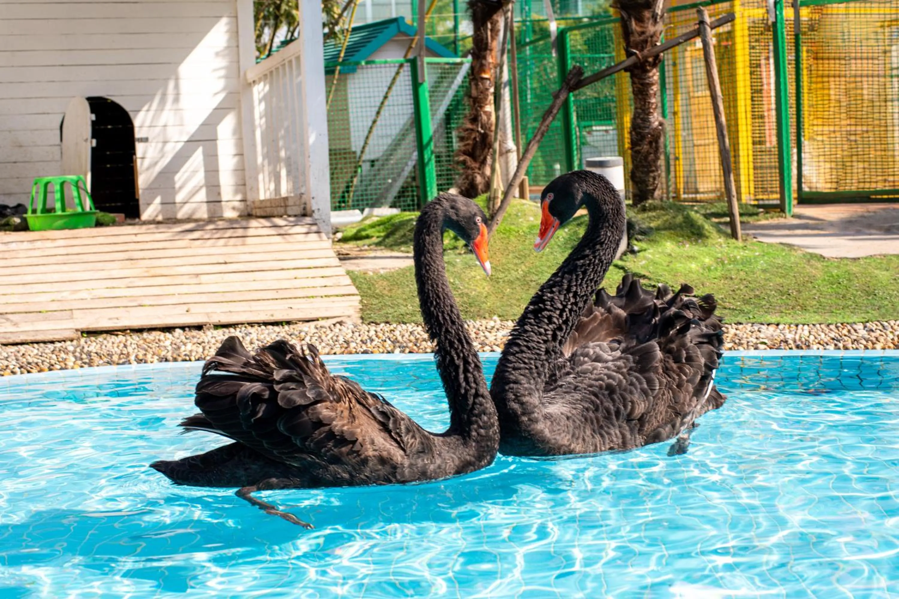 young children in Crowne Plaza Shanghai Xiayang Lake by IHG