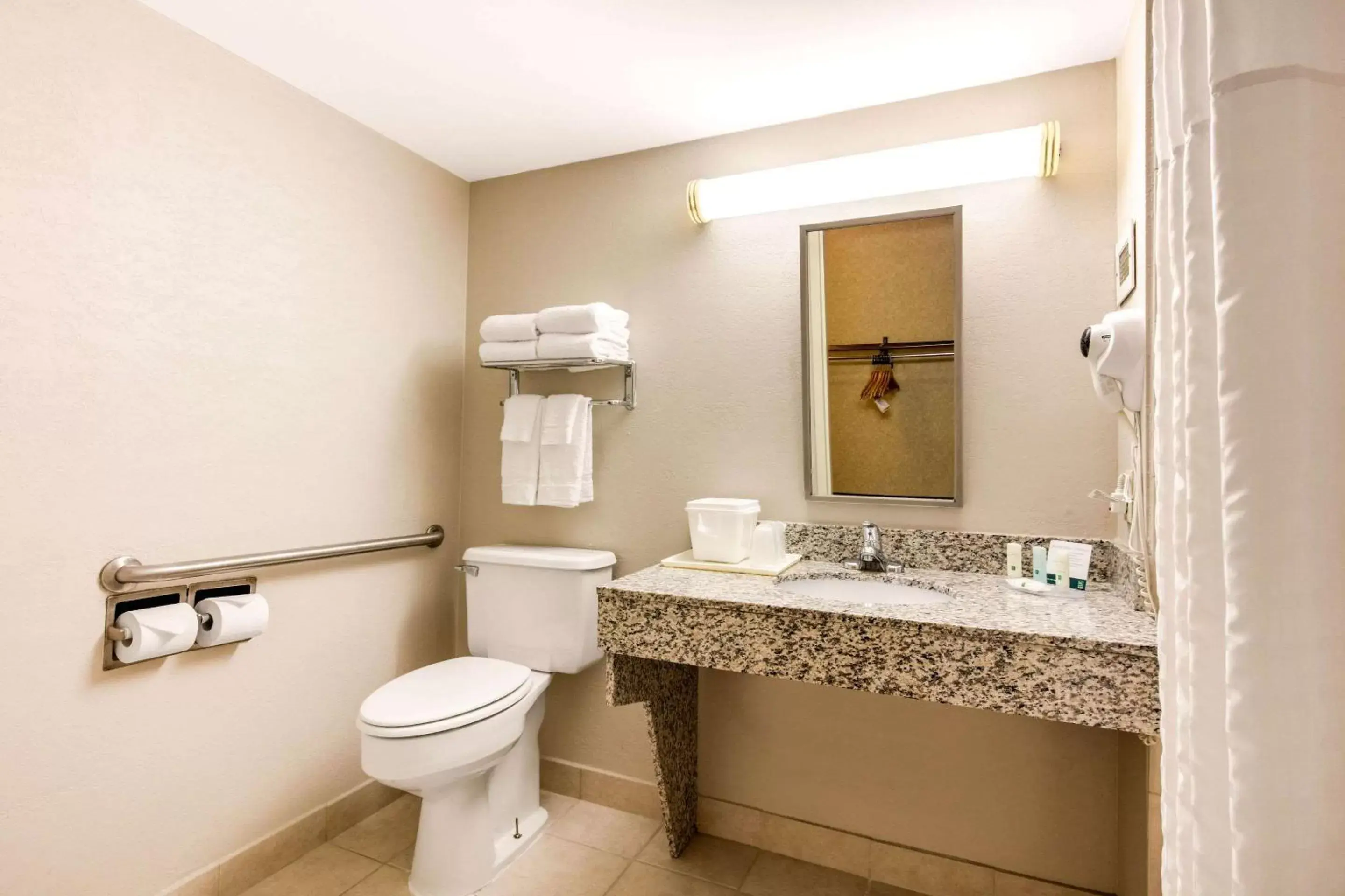 Bedroom, Bathroom in Quality Inn Opryland Area