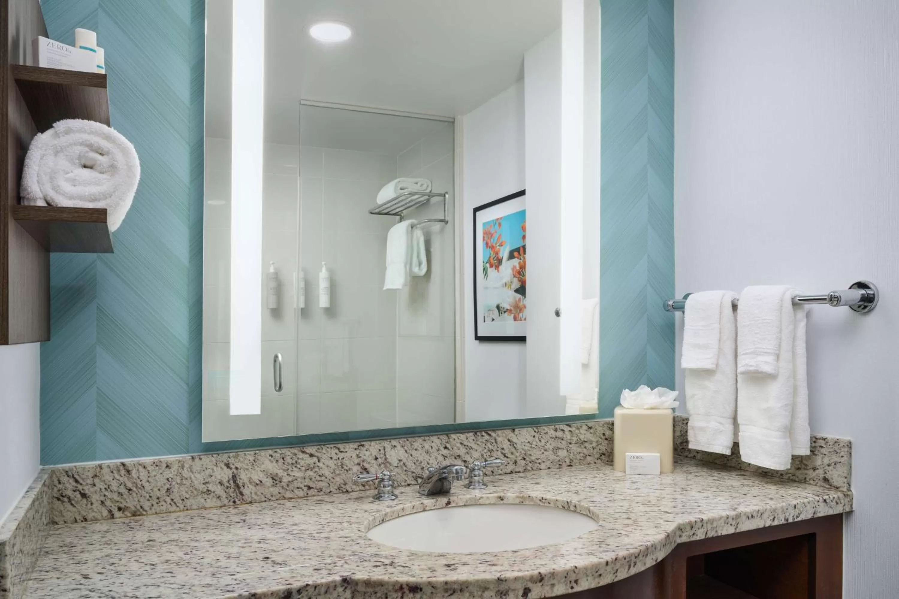 Toilet in Hilton Garden Inn Atlanta Midtown