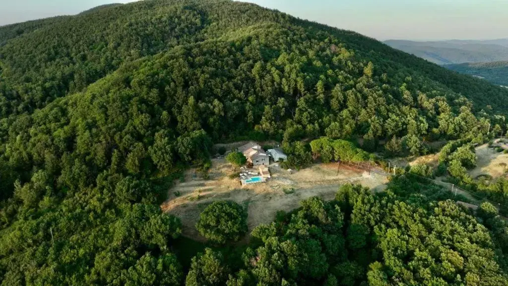 Bird's-eye View in B&B Podere Camaiano