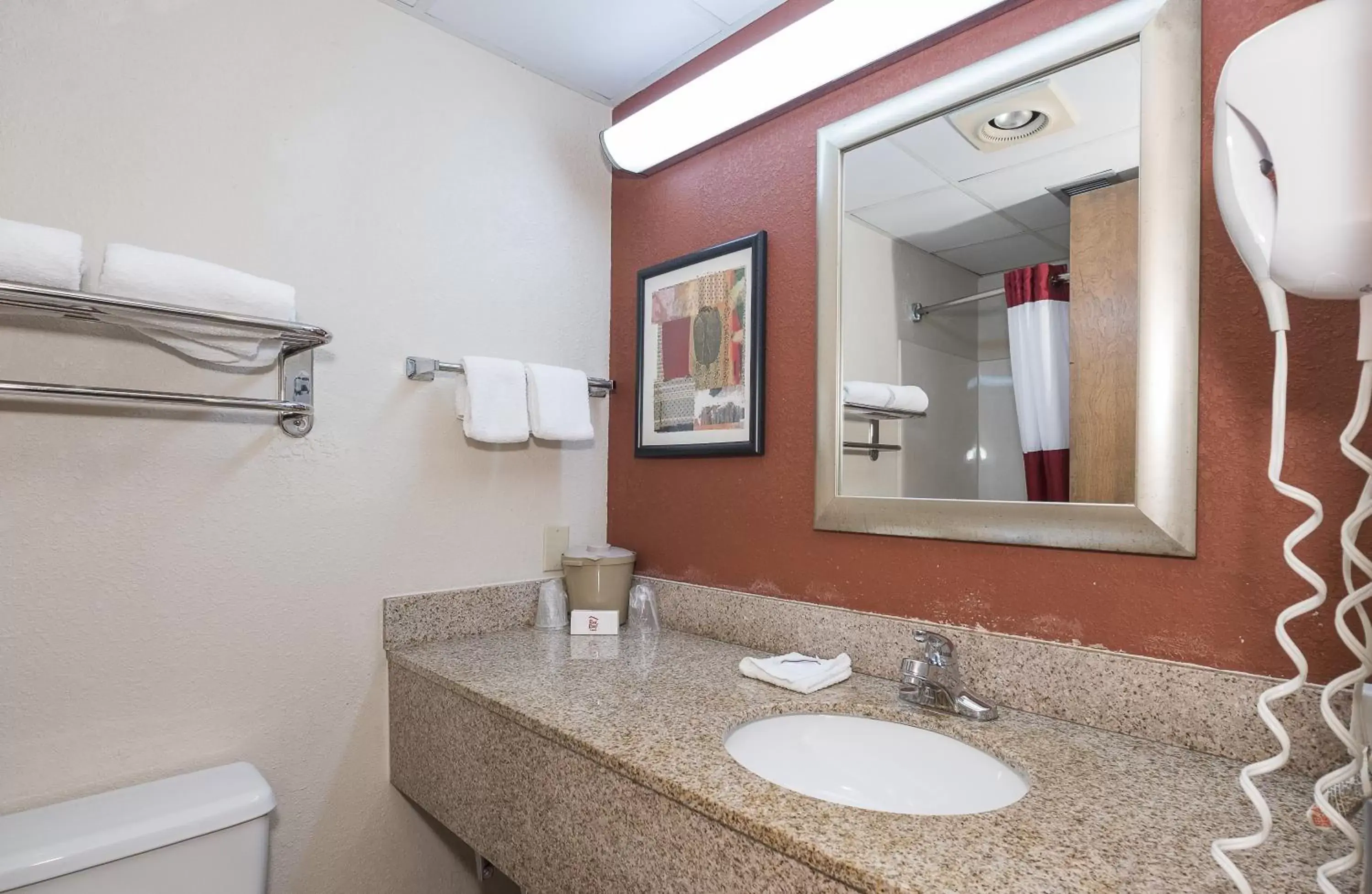 Bathroom in Red Roof Inn & Suites Cleveland - Elyria
