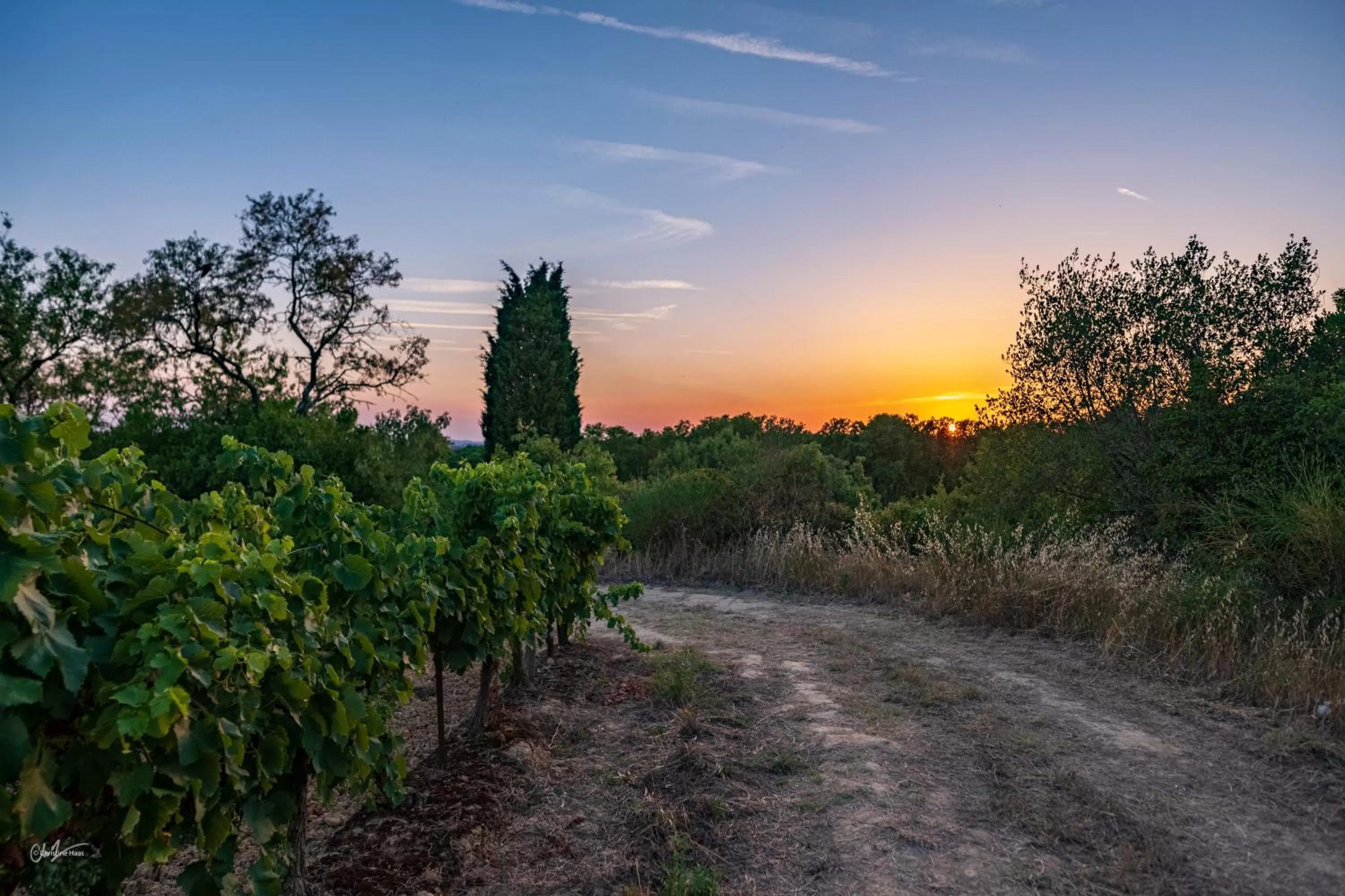 Activities in Cerise Carcassonne Sud
